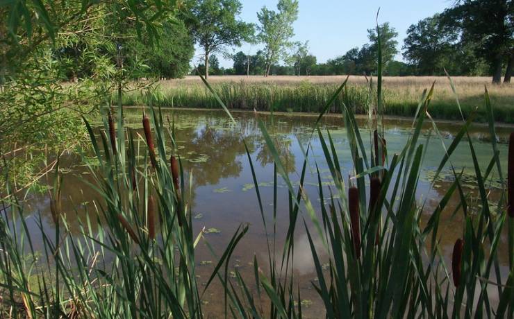 Route 66 State Park 4