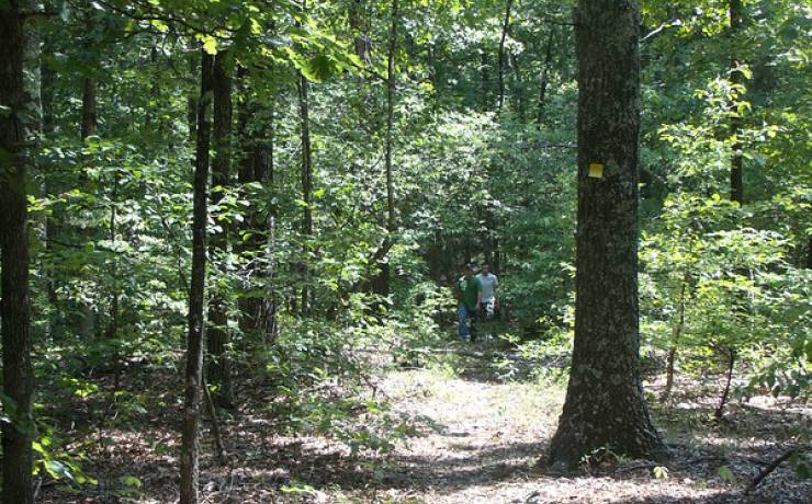 Enjoy hiking at Trails of the Roger Pryor Pioneer Backcountry
