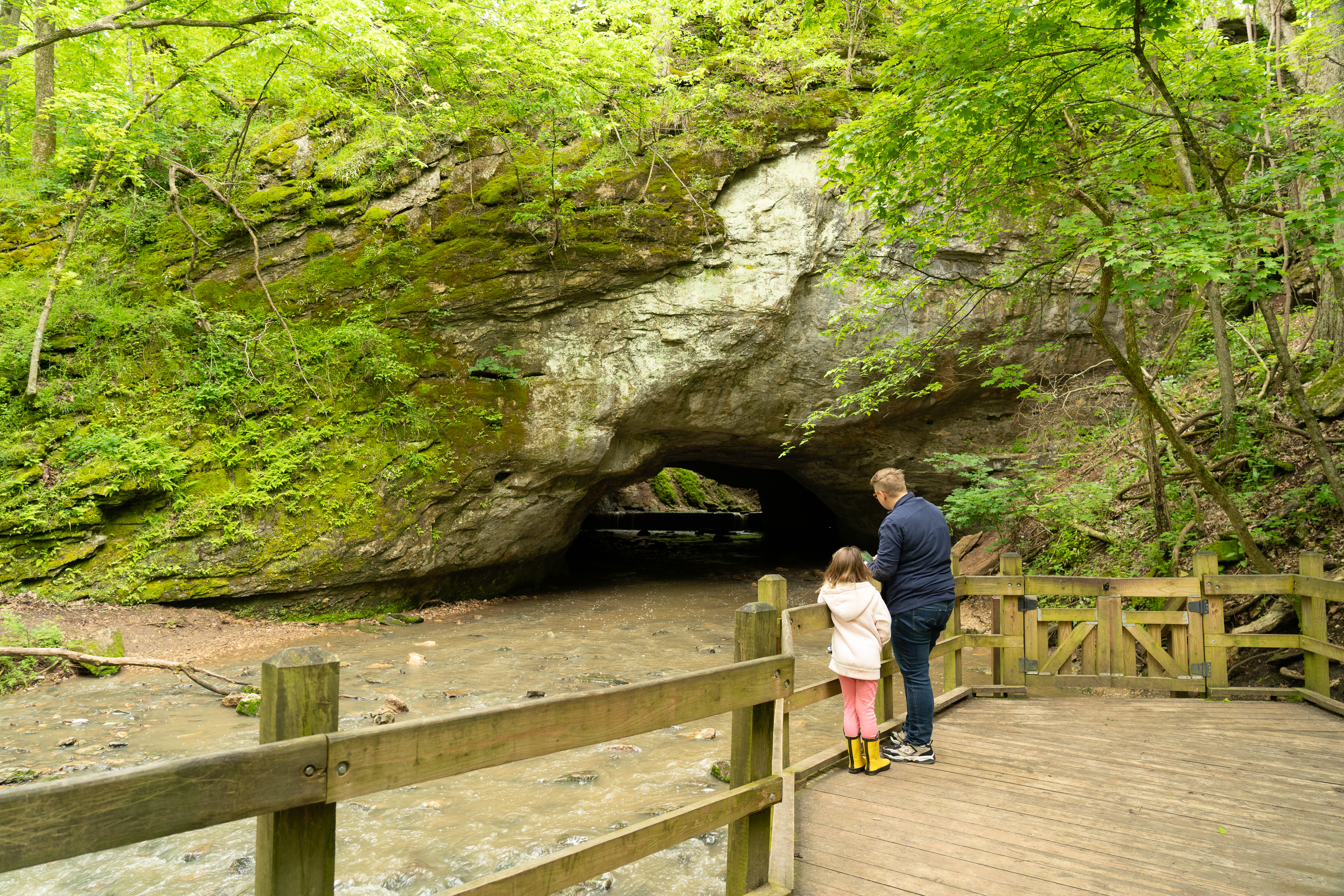 a Father and Daughter looking at a cave at Rock Bridge State Park