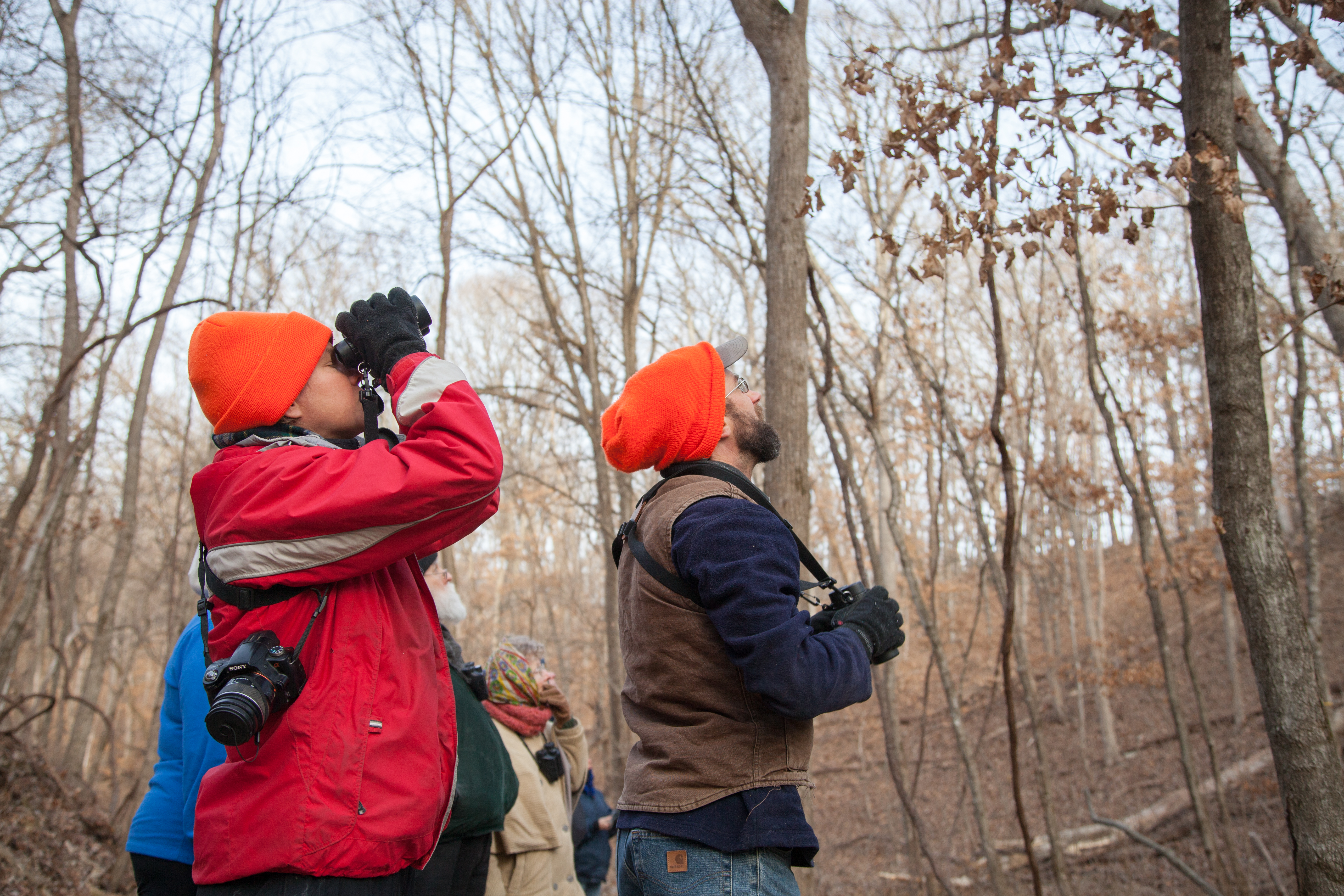 bird watchers at Rock Bridge State Park