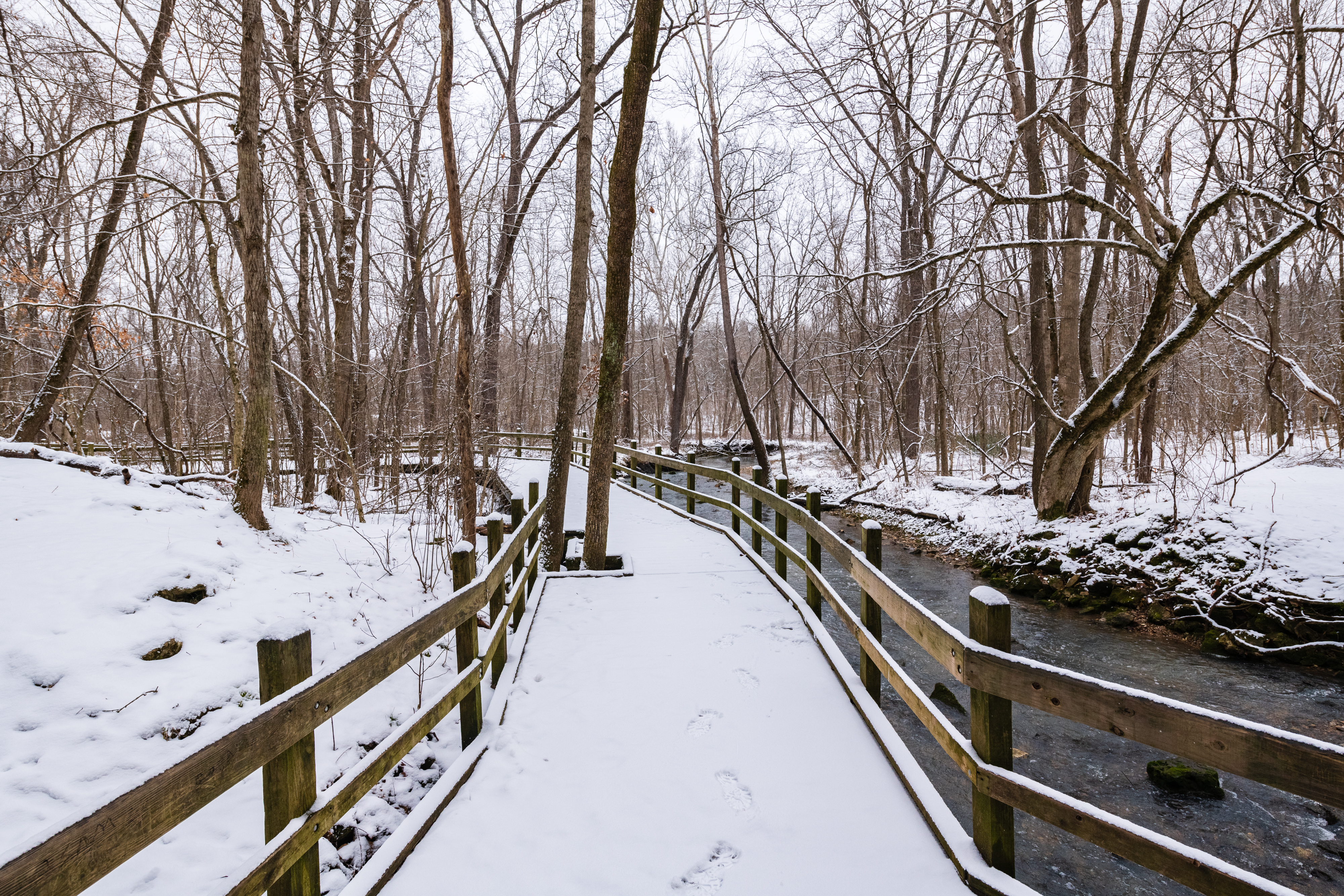 a snow-covered trail at Rock Bridge State Park