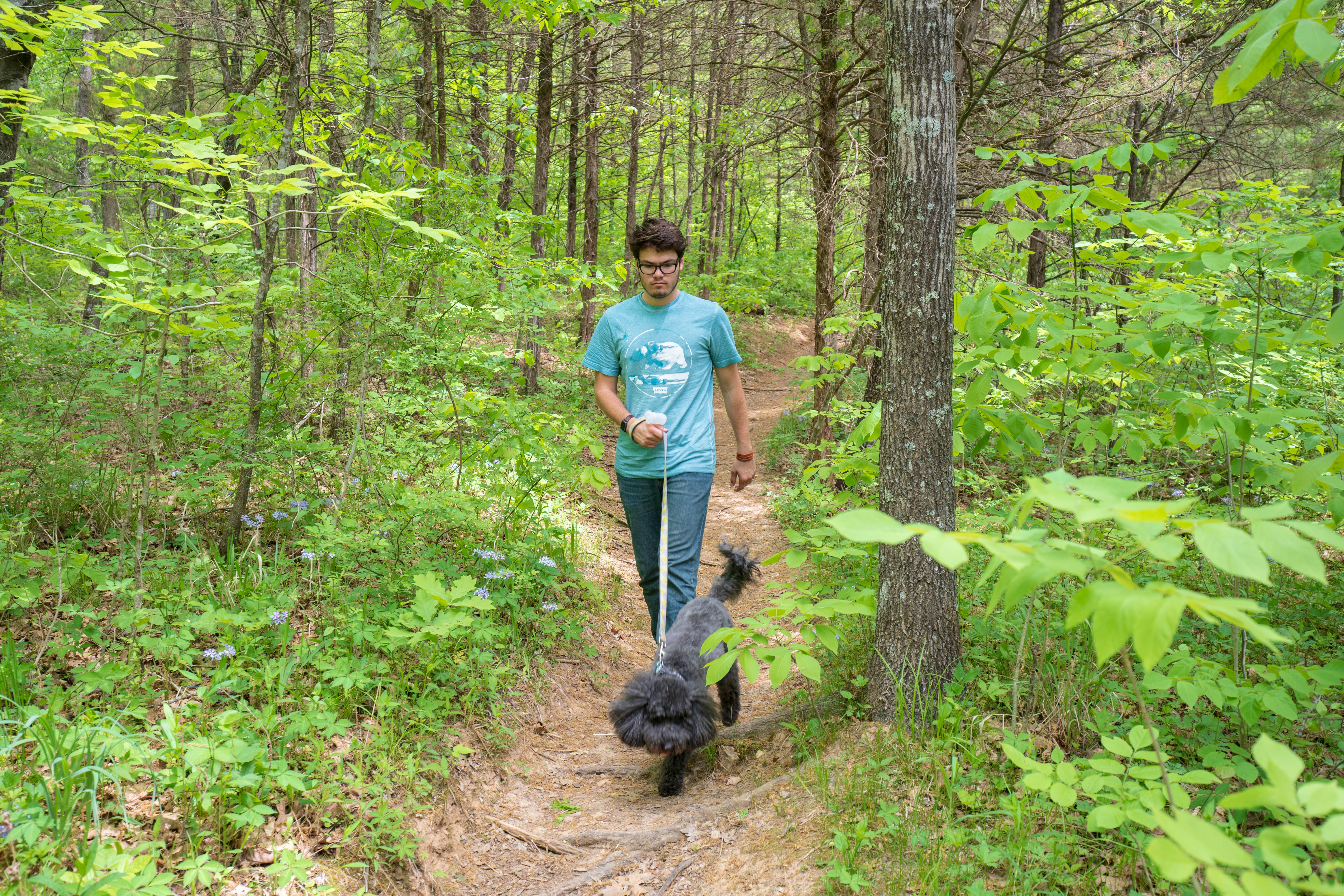 a man walking a dog down a trail at Rock Bridge State Park