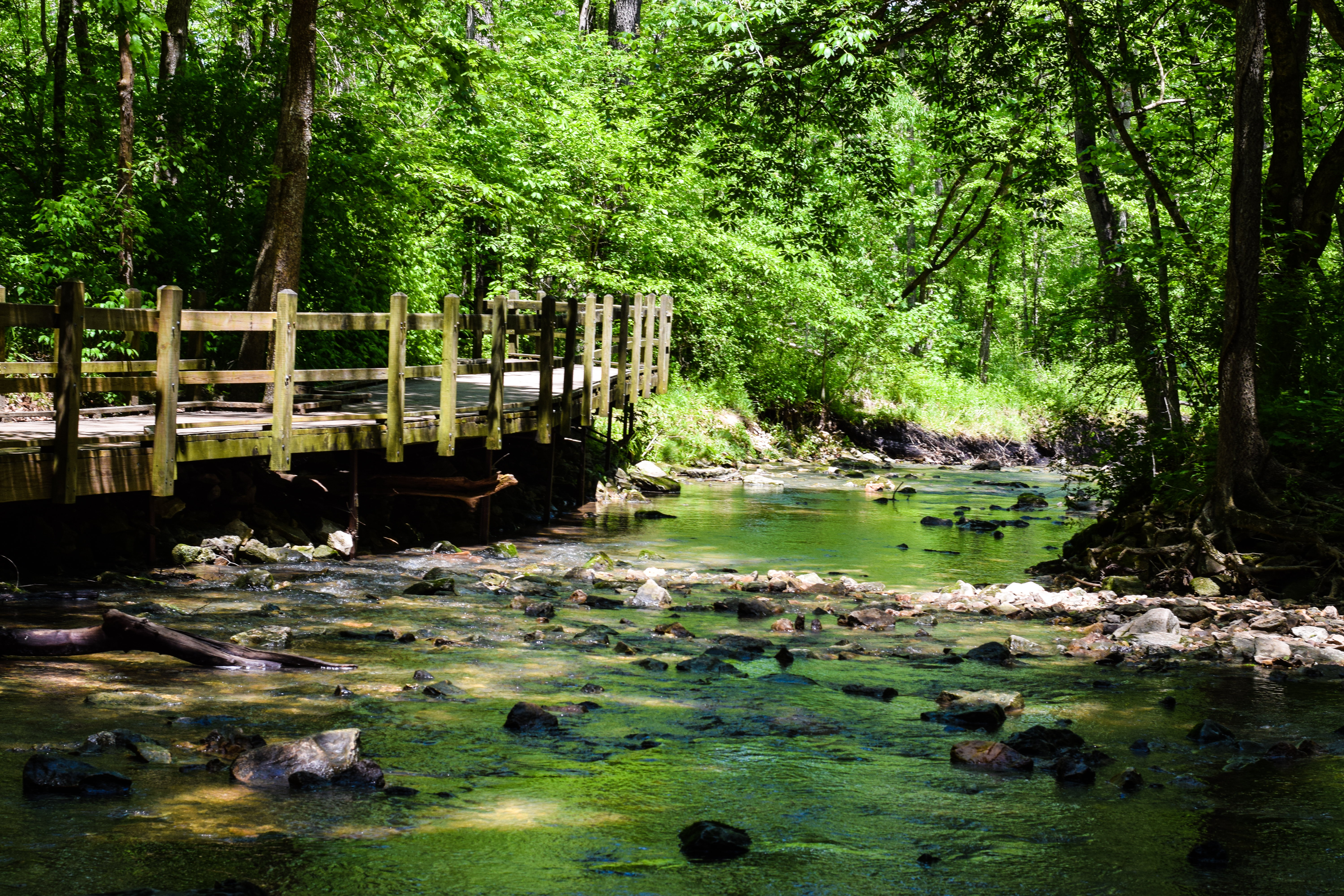 a wooden path over a river at Rock Bridge State Park