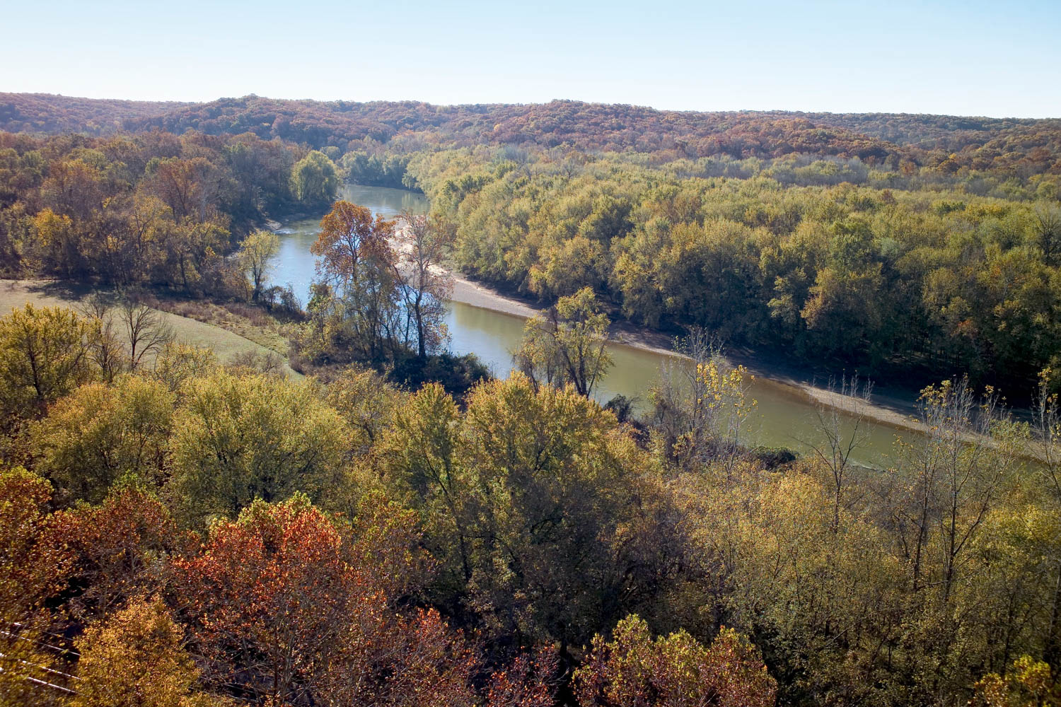a river surrounded by forests