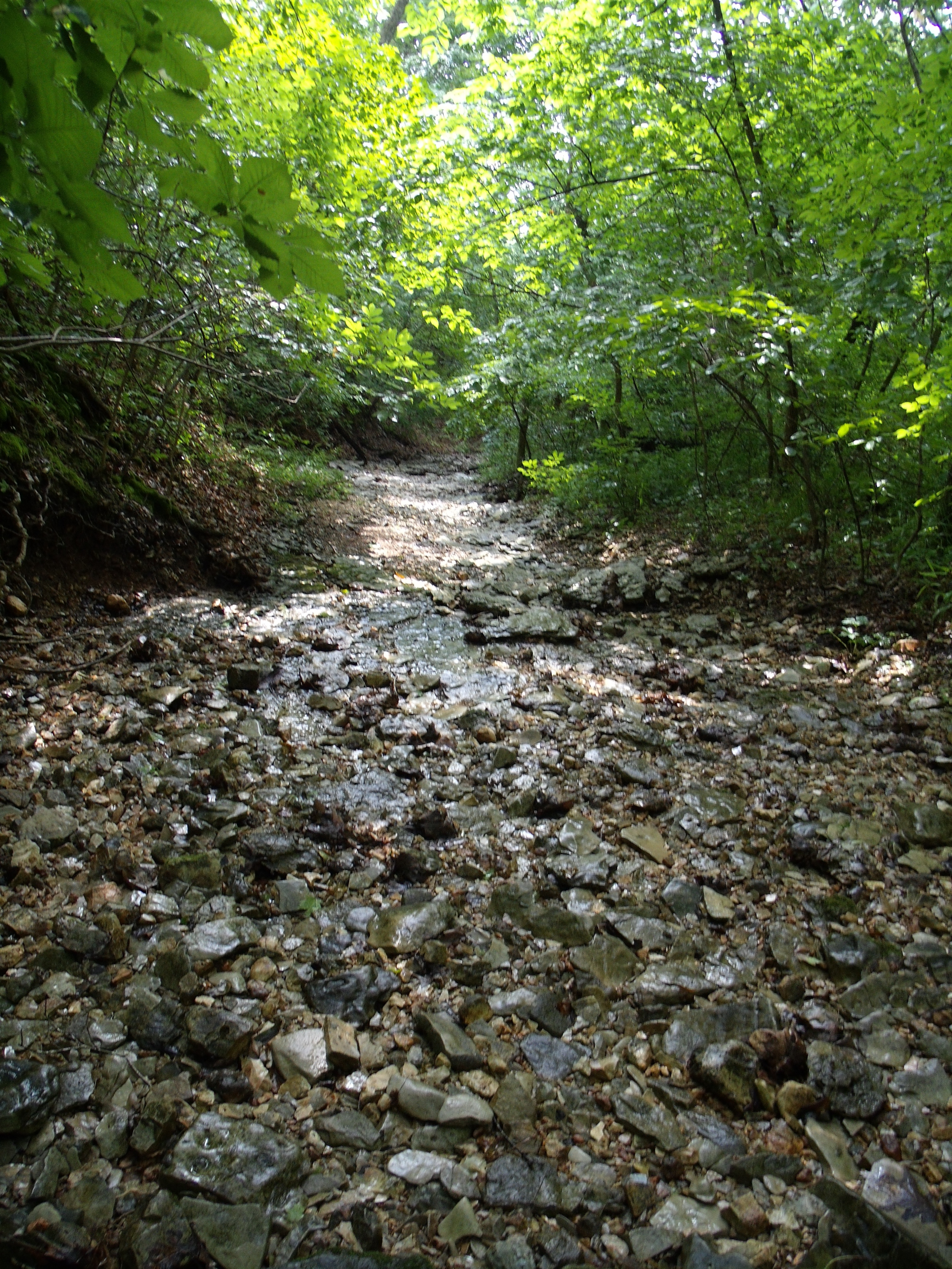 a rocky creek at Big Sugar Creek State Park