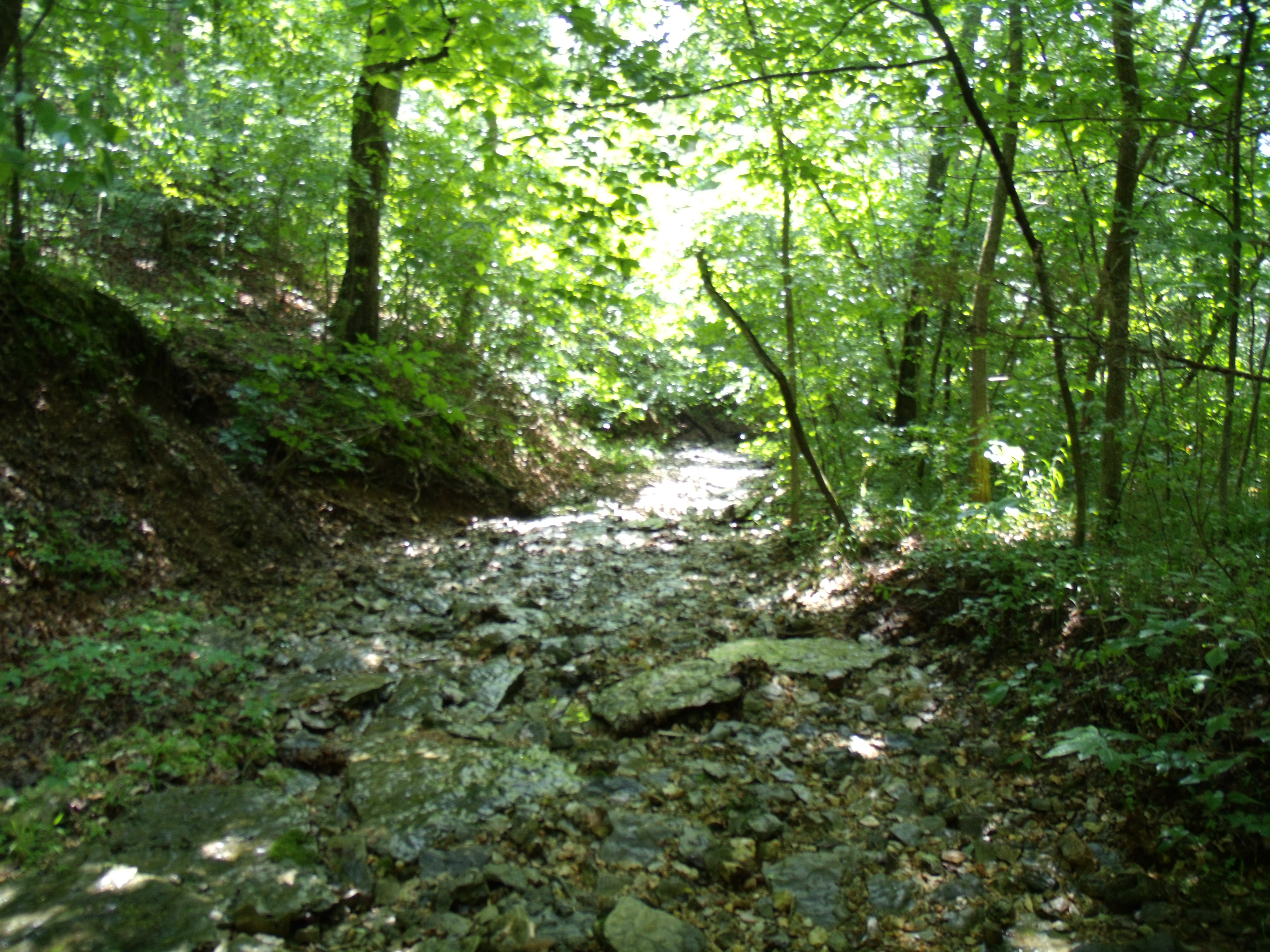 a rocky creek at Big Sugar Creek State Park