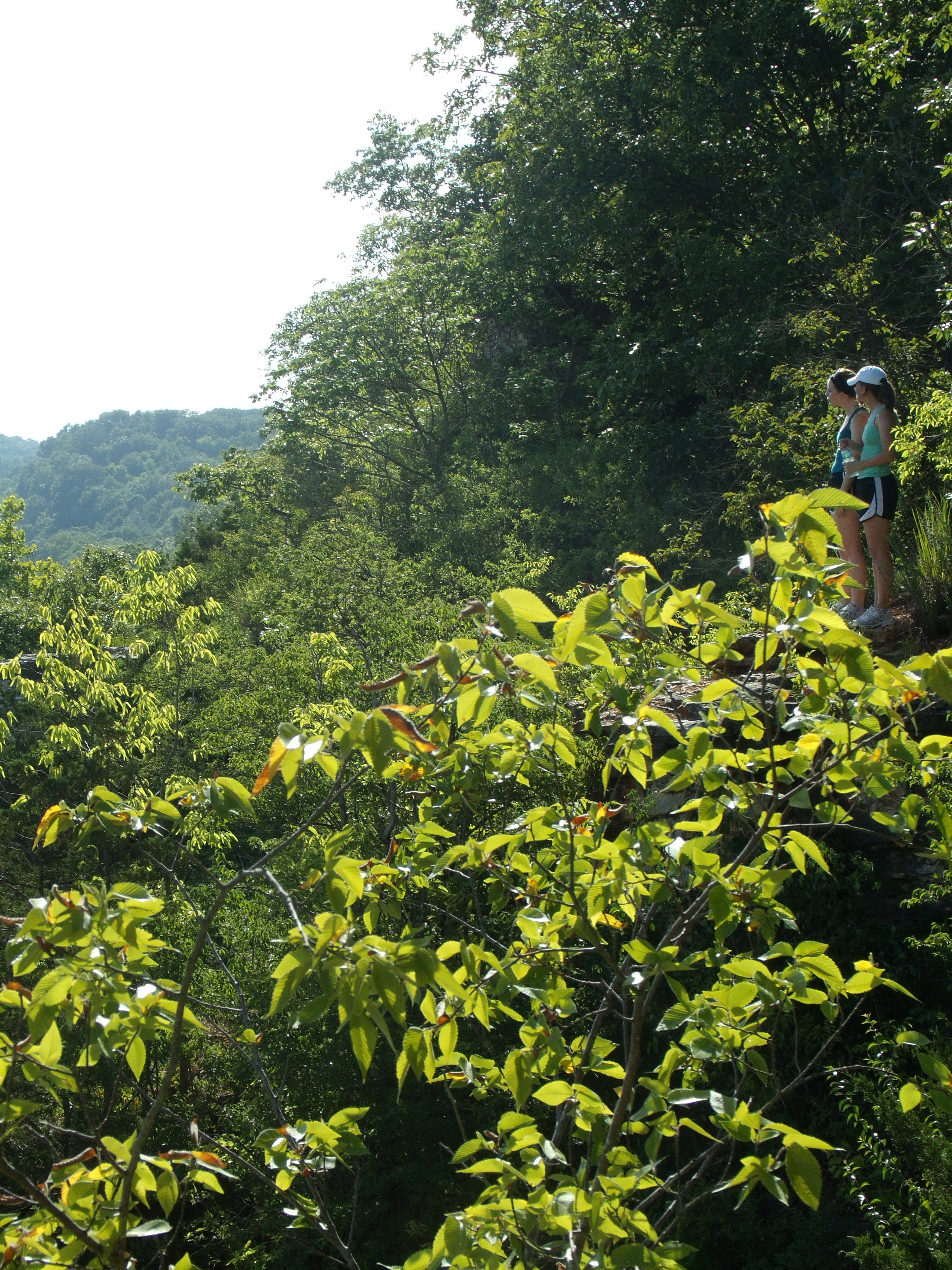two women looking over a forest