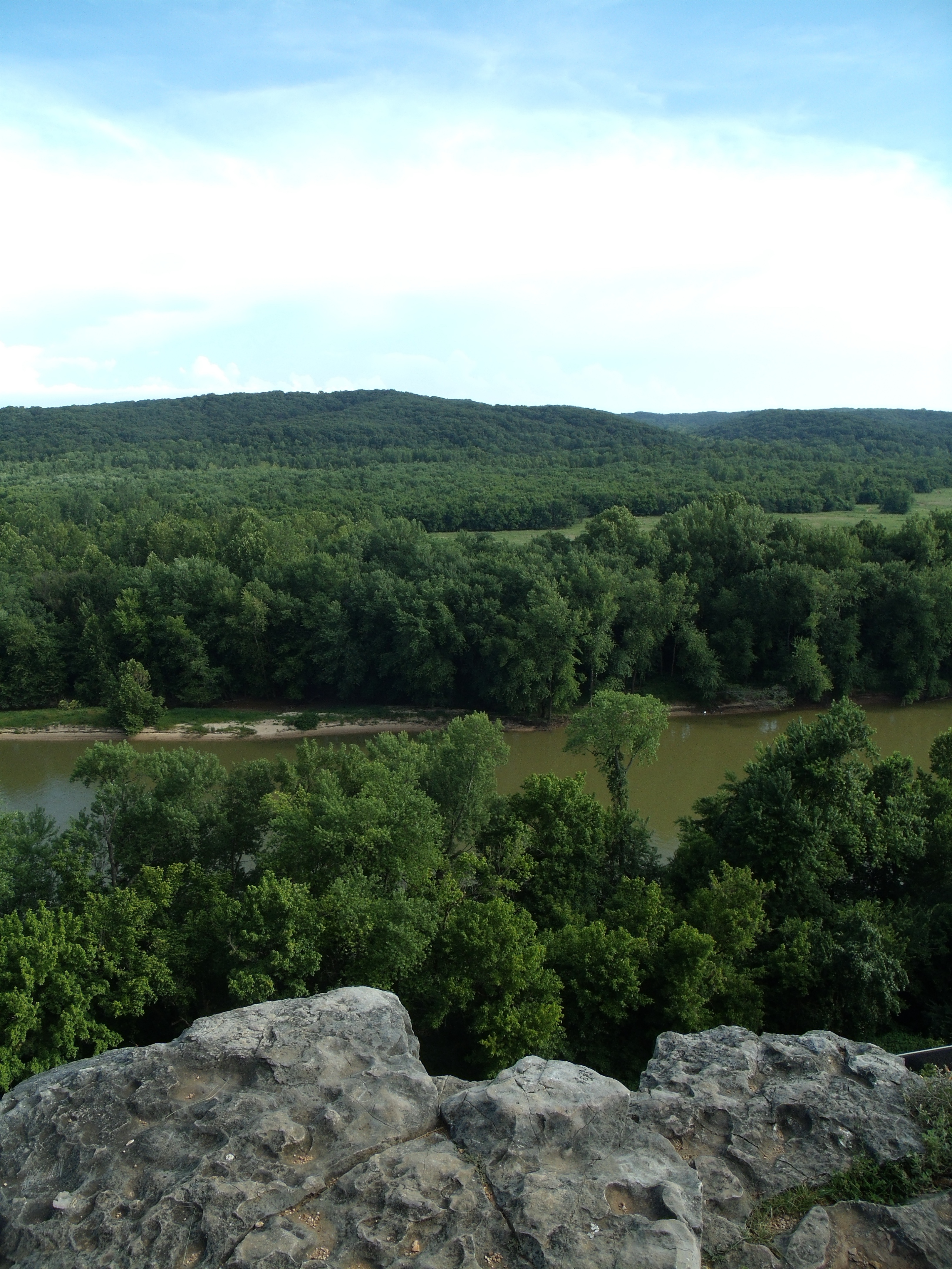 a river surrounded by forests