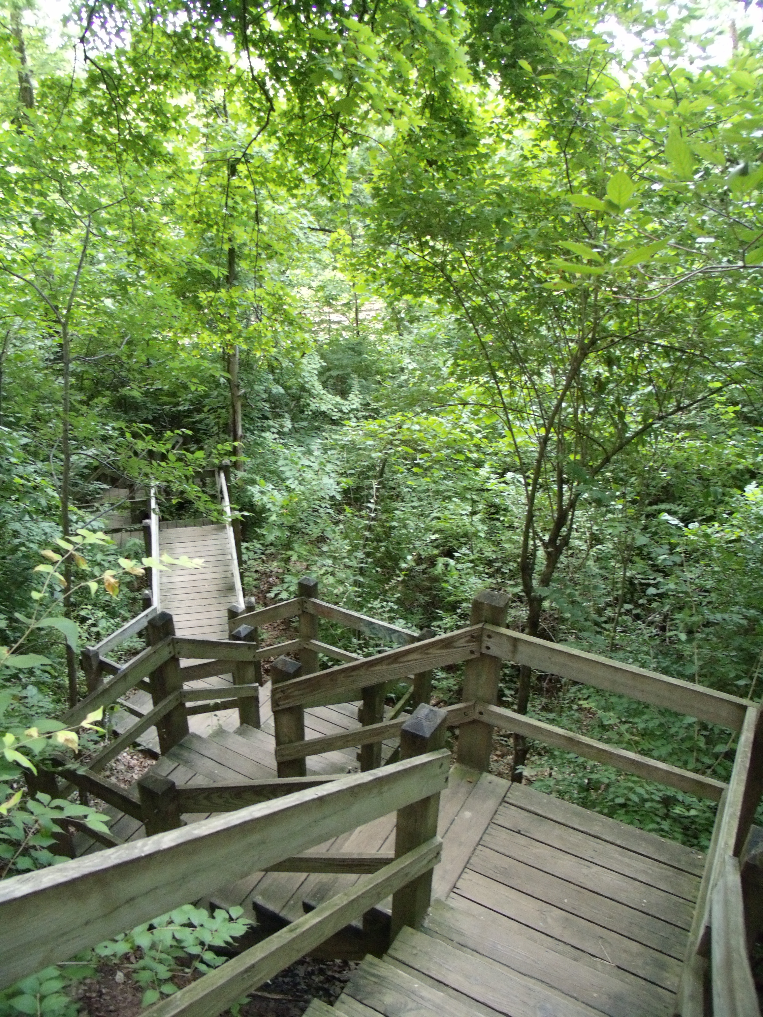 a steep wooden walking path at Castlewood State Park
