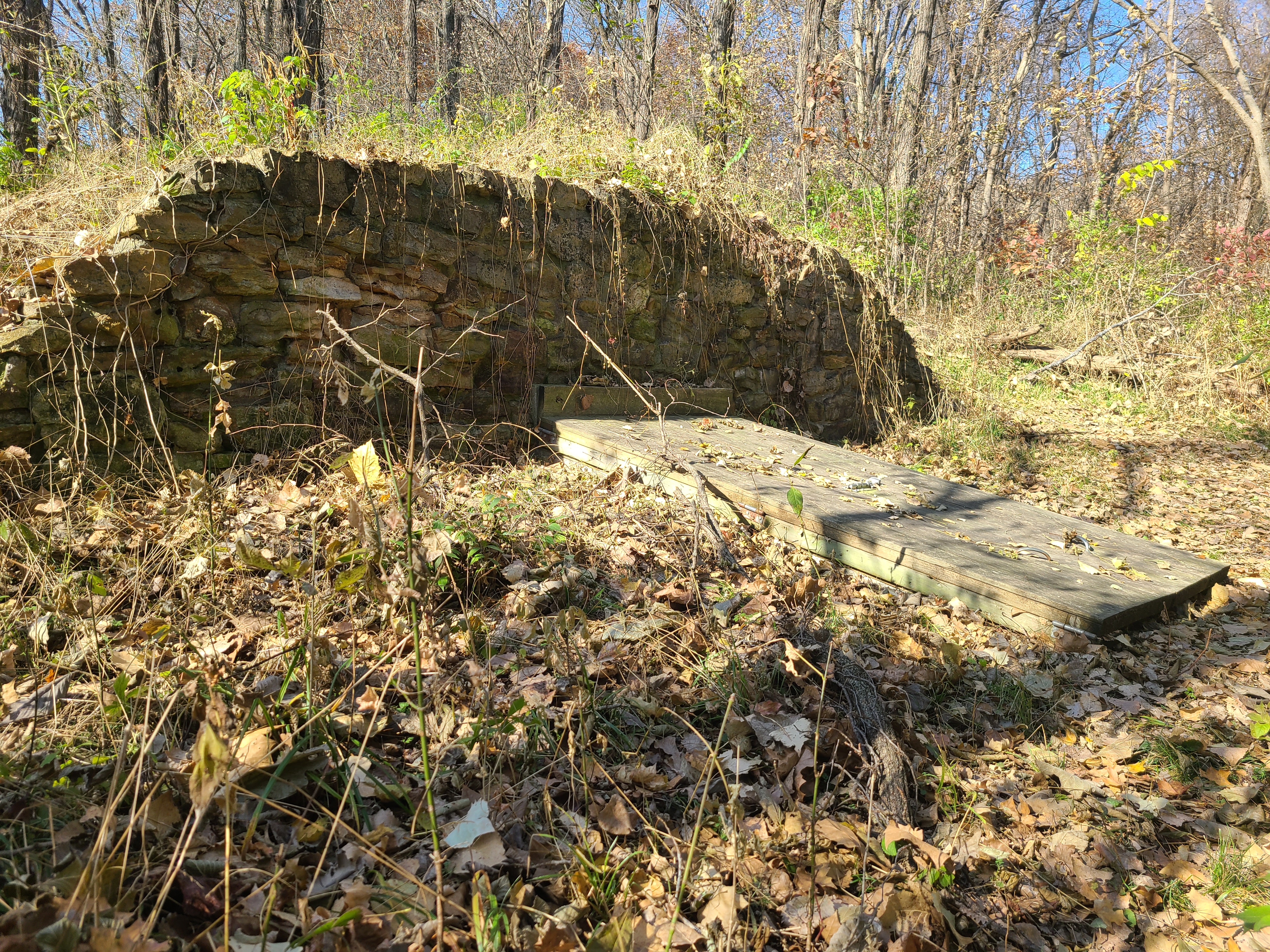 A cellar covered in overgrowth