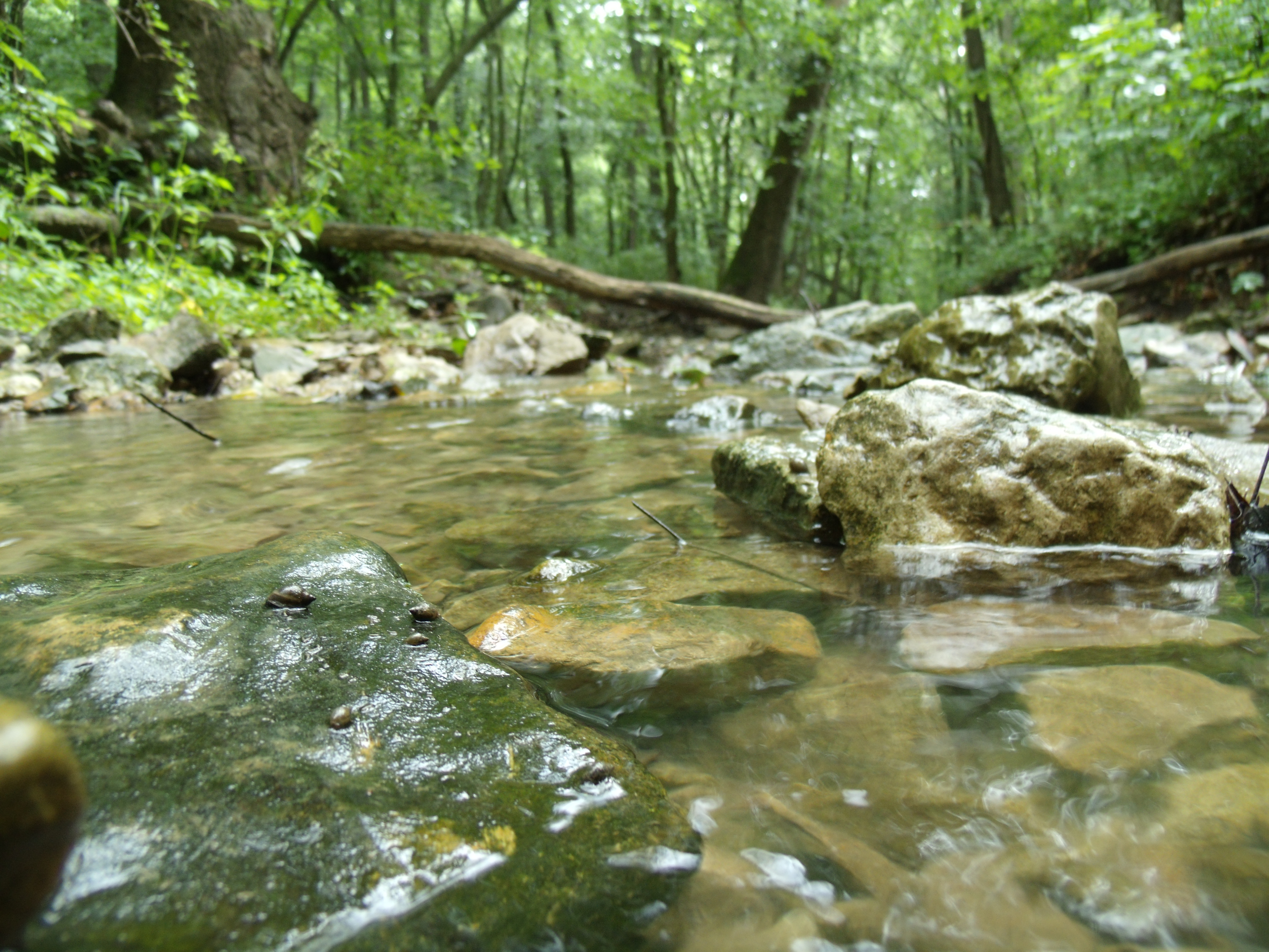 Close up image of rocks in a river