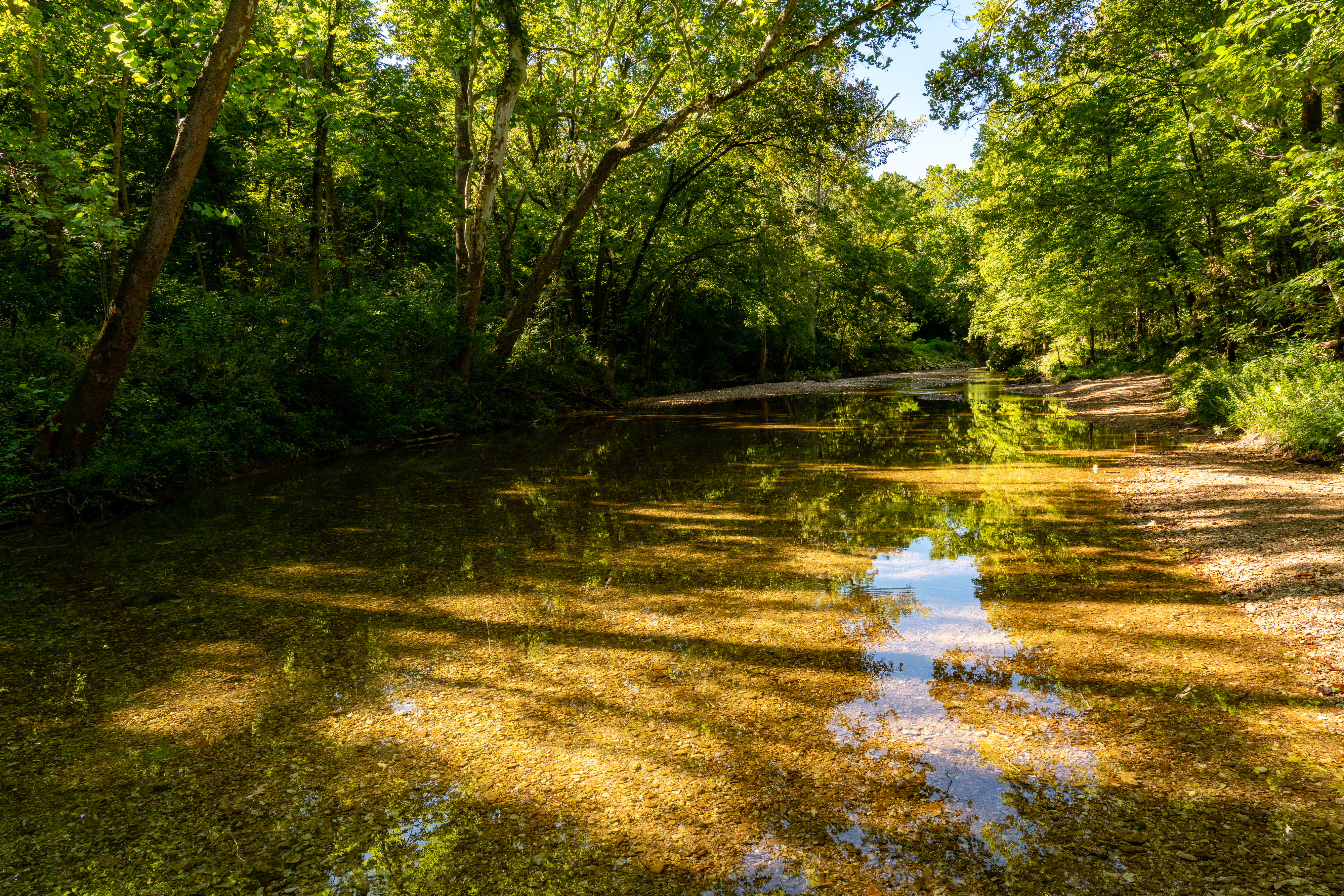 a shallow river with a rocky bottom