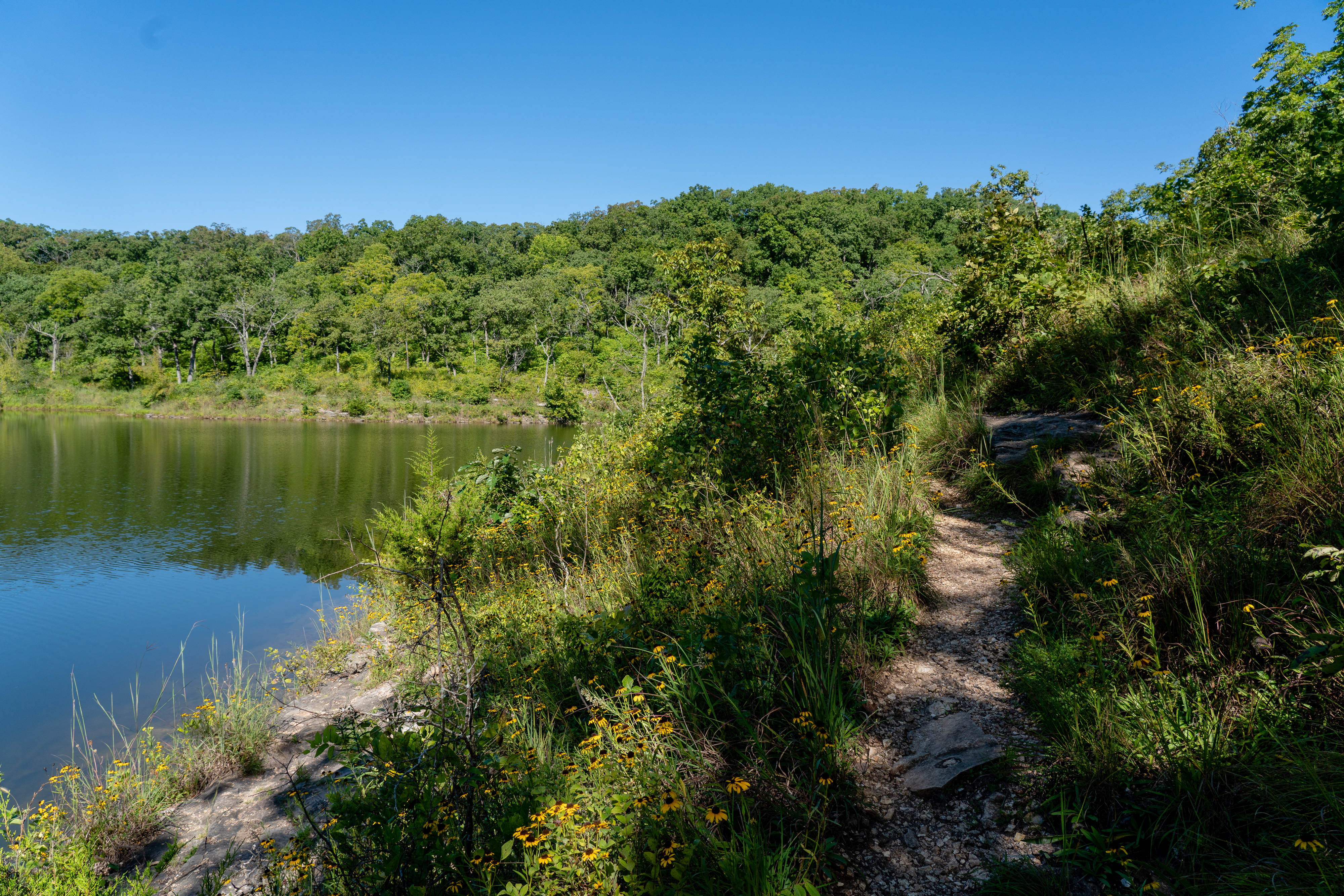 a narrow uphill walking path next to a river