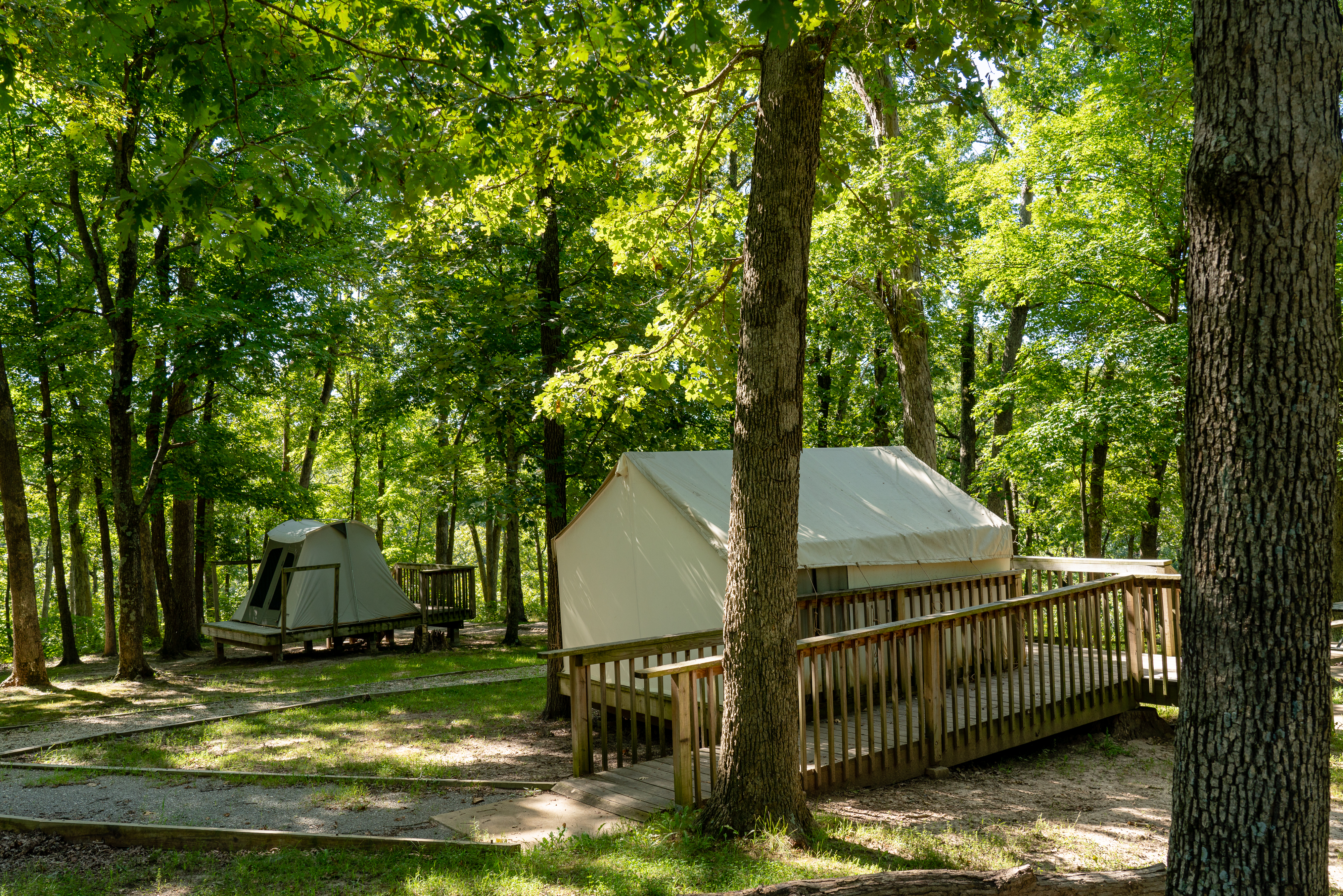 tents set up on wooden decks in the woods