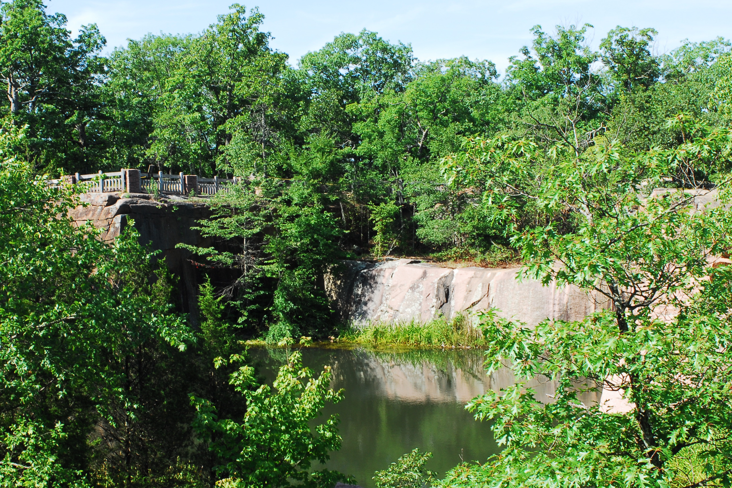 Trees hanging over a bridge going over a river
