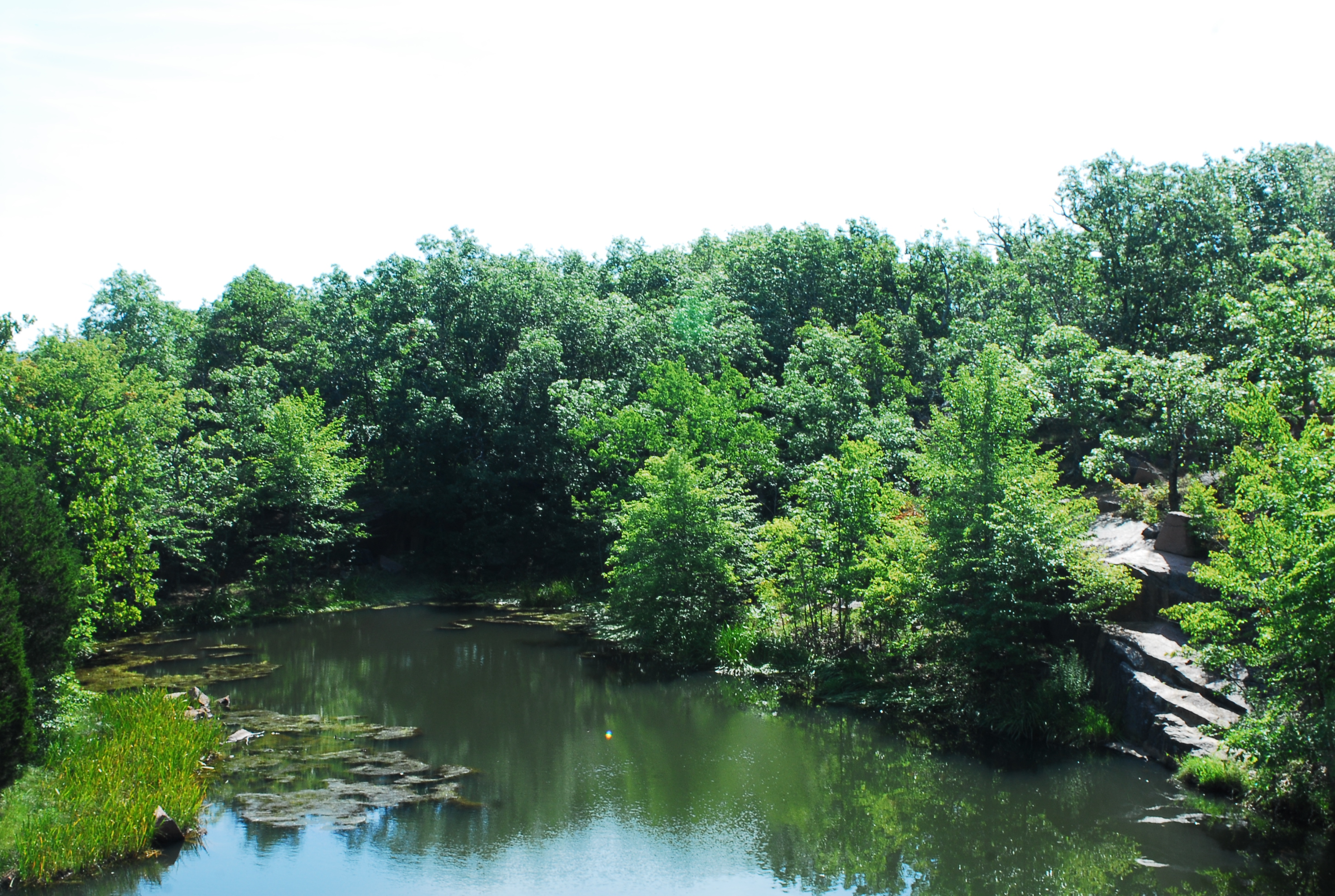 a large body of water surrounded by trees