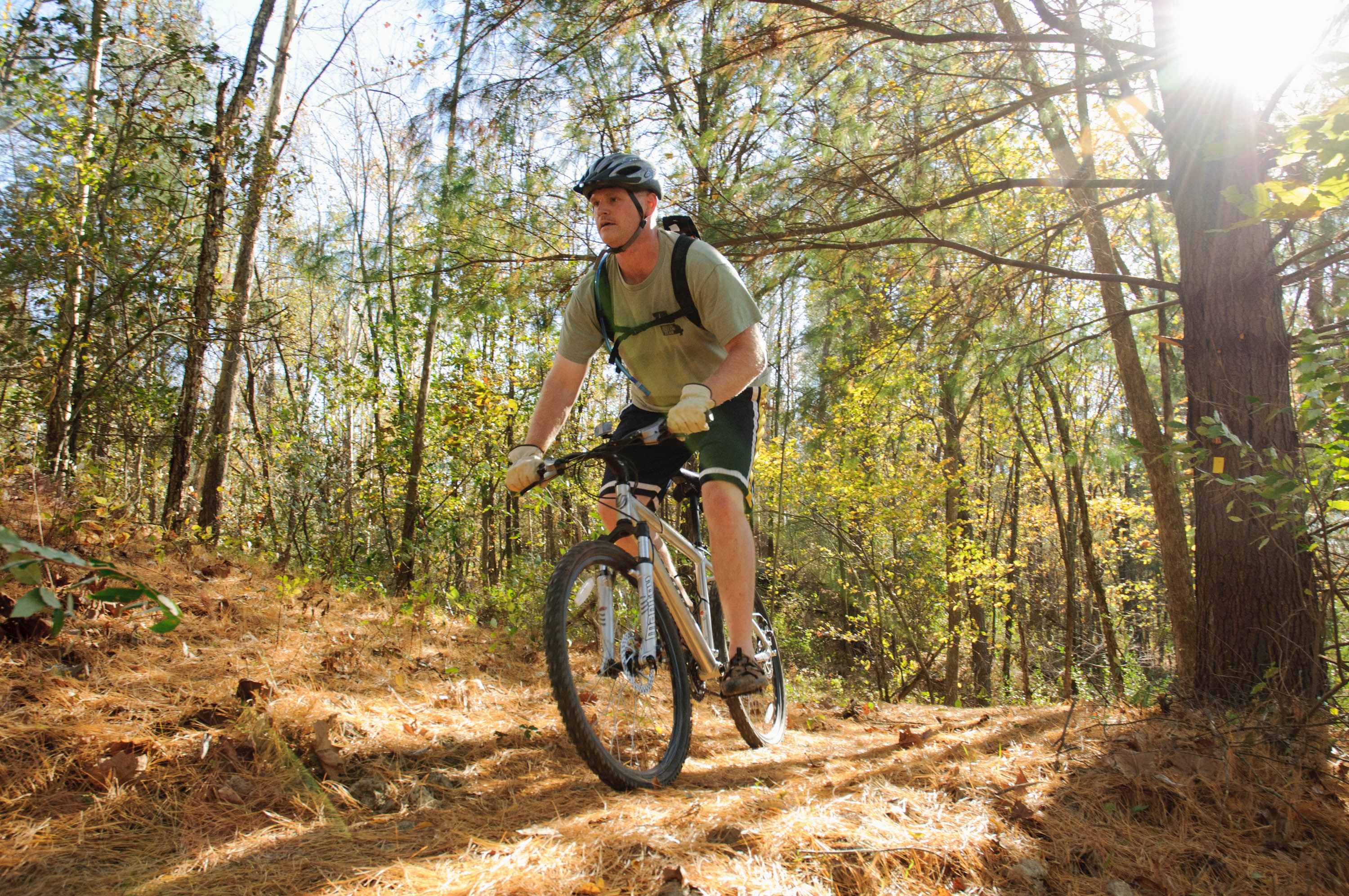 A man riding a bike in a forest