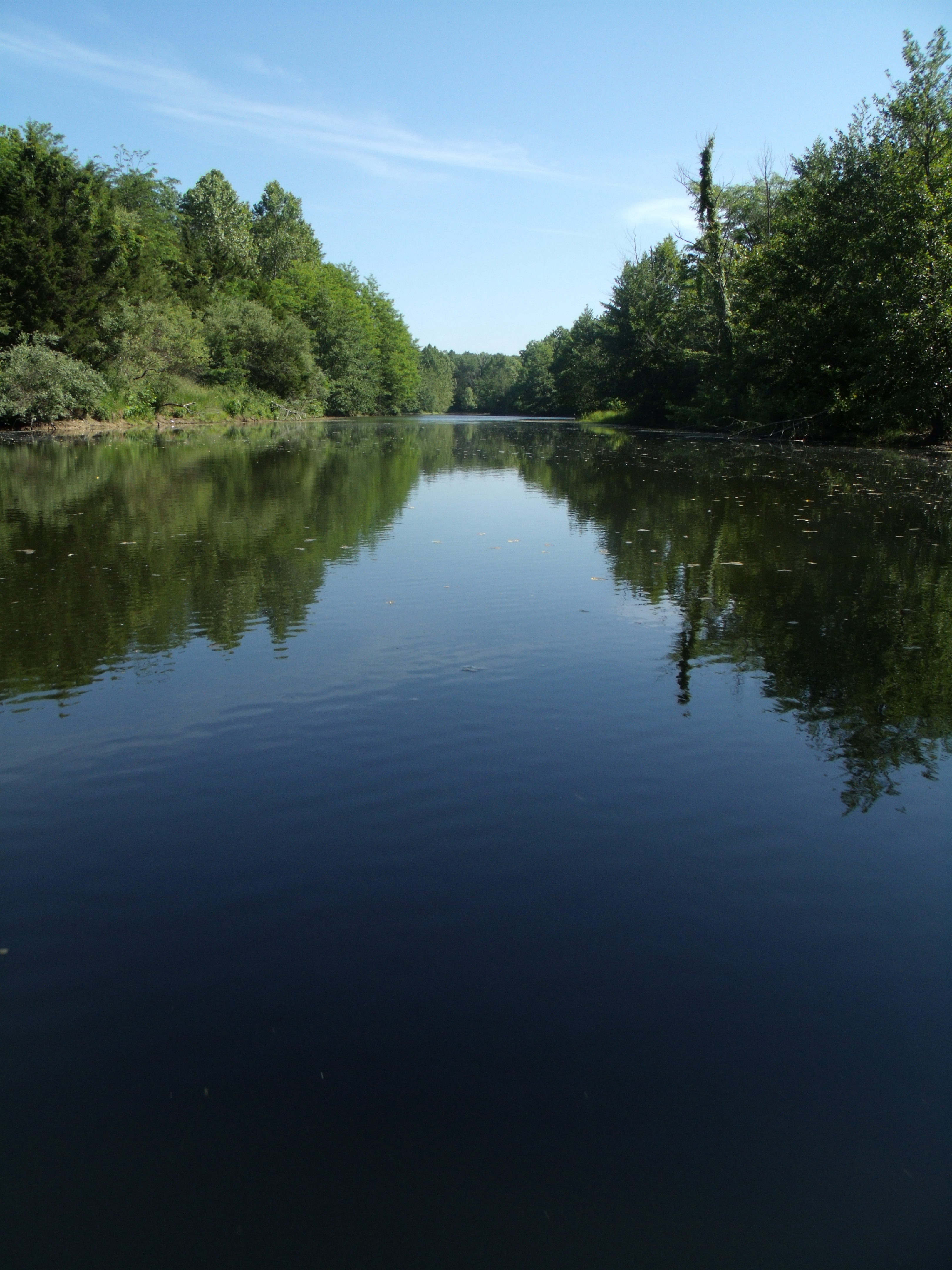 A large lake with trees surrounding it