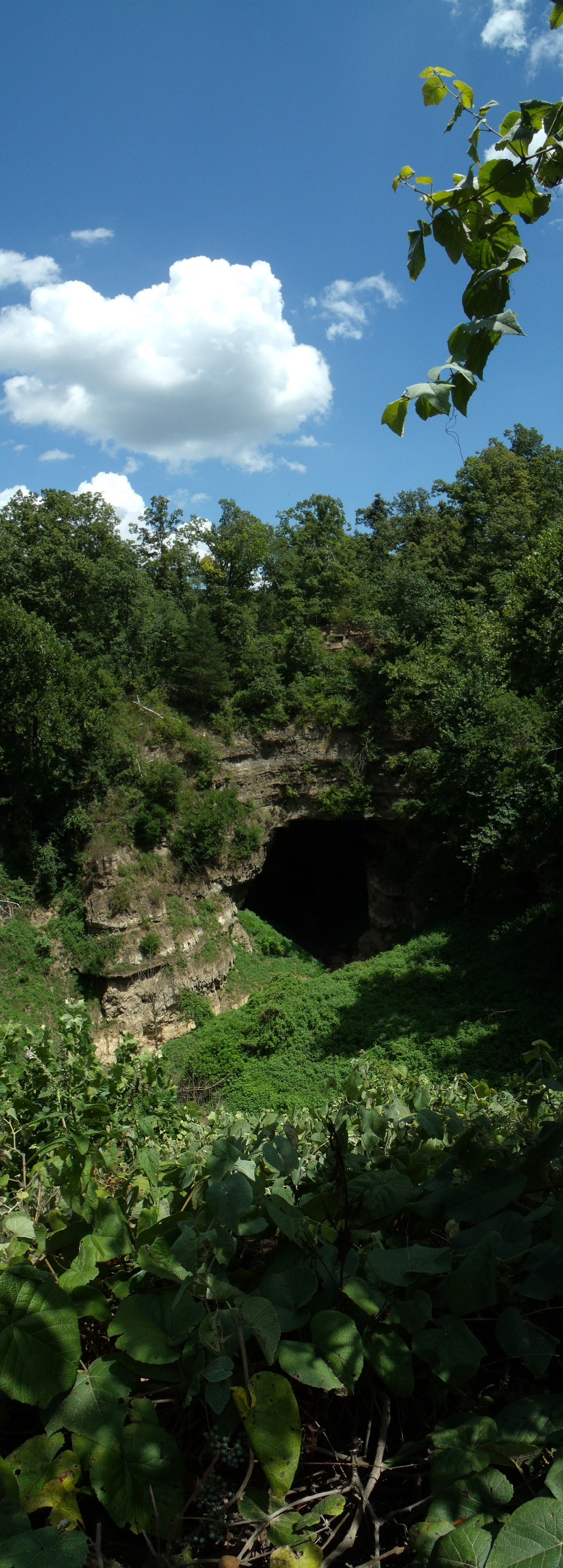 Aerial view of cliffs