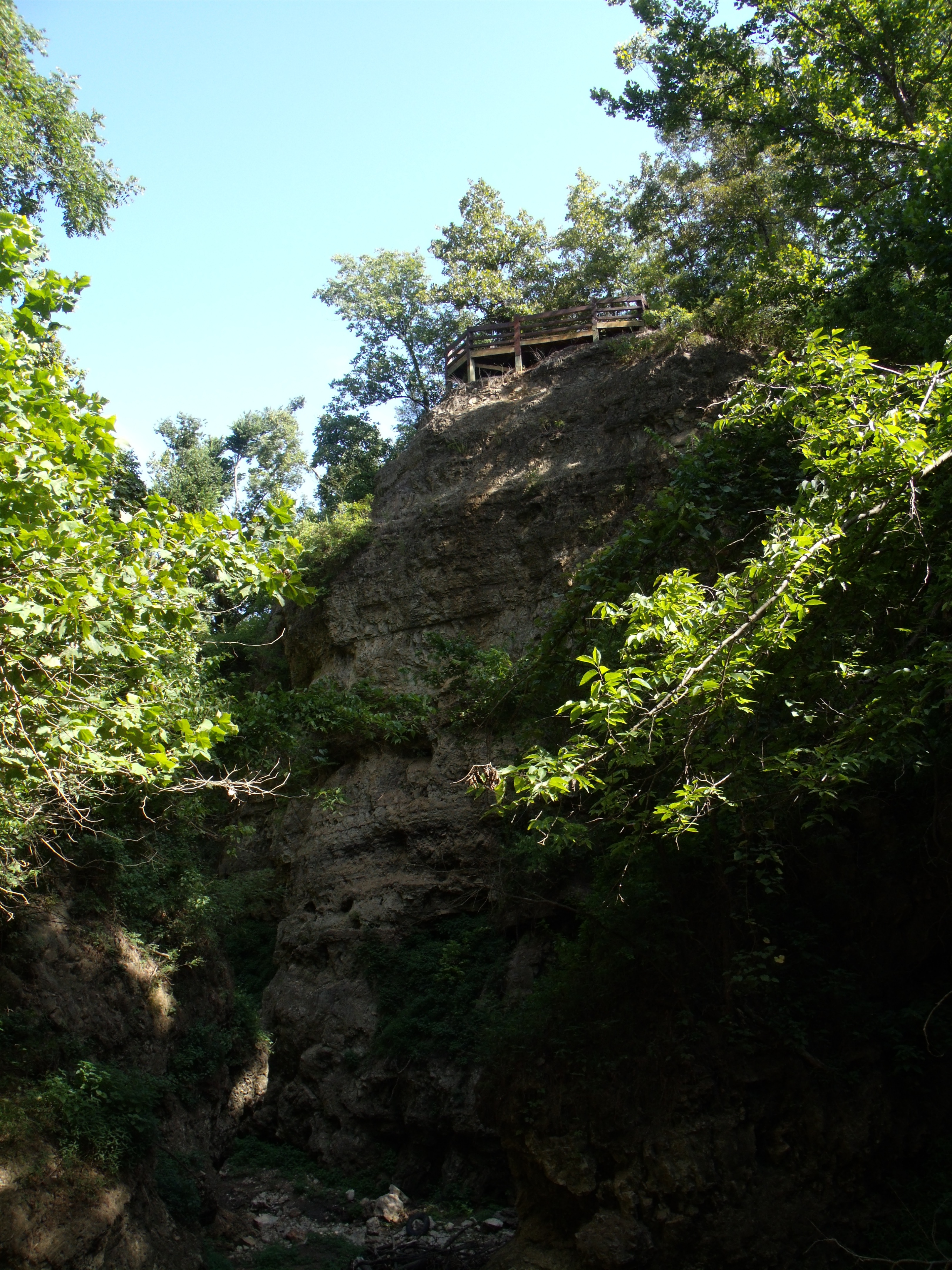 A cliff face