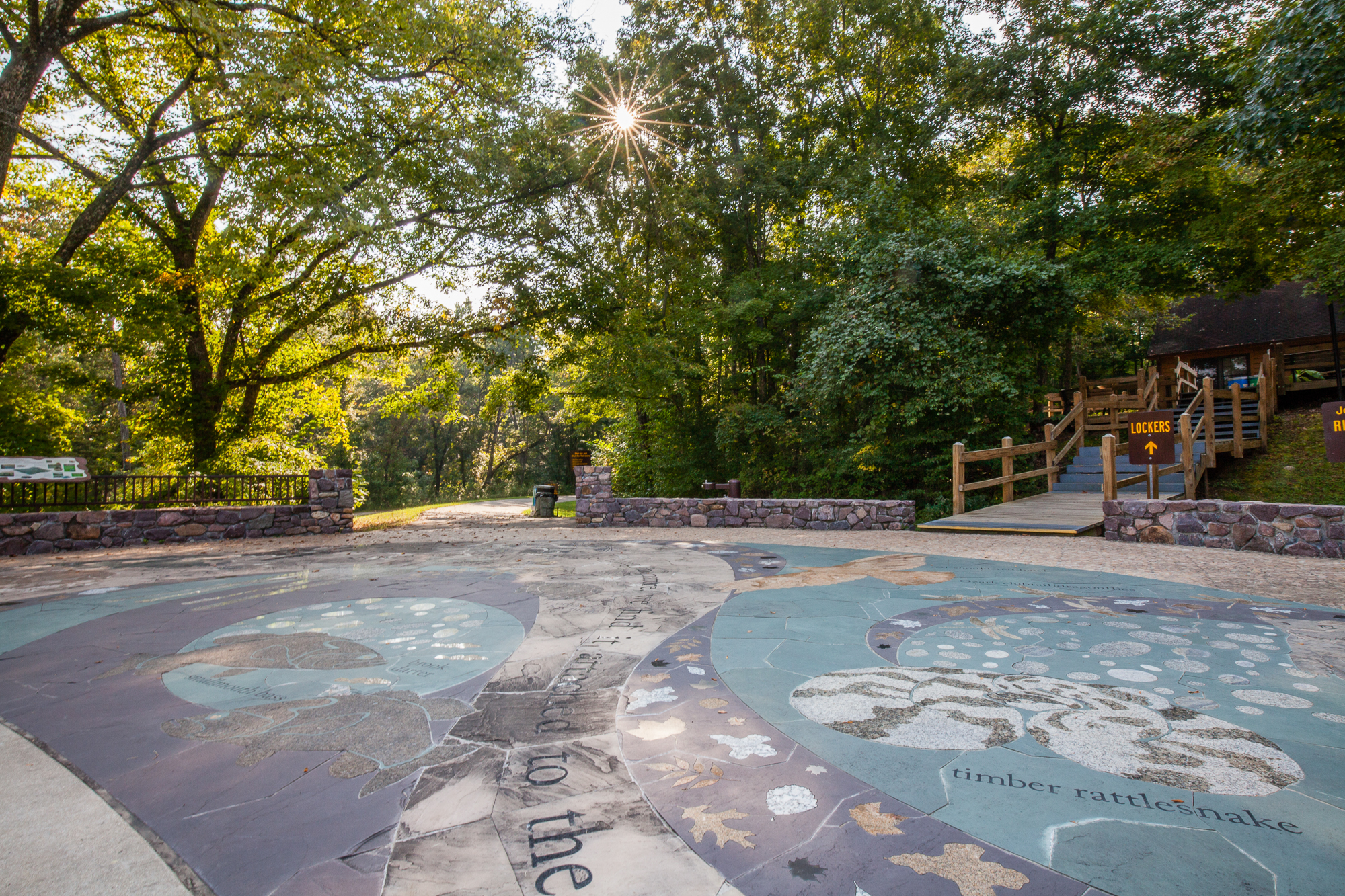 A rock mural of plants and animals