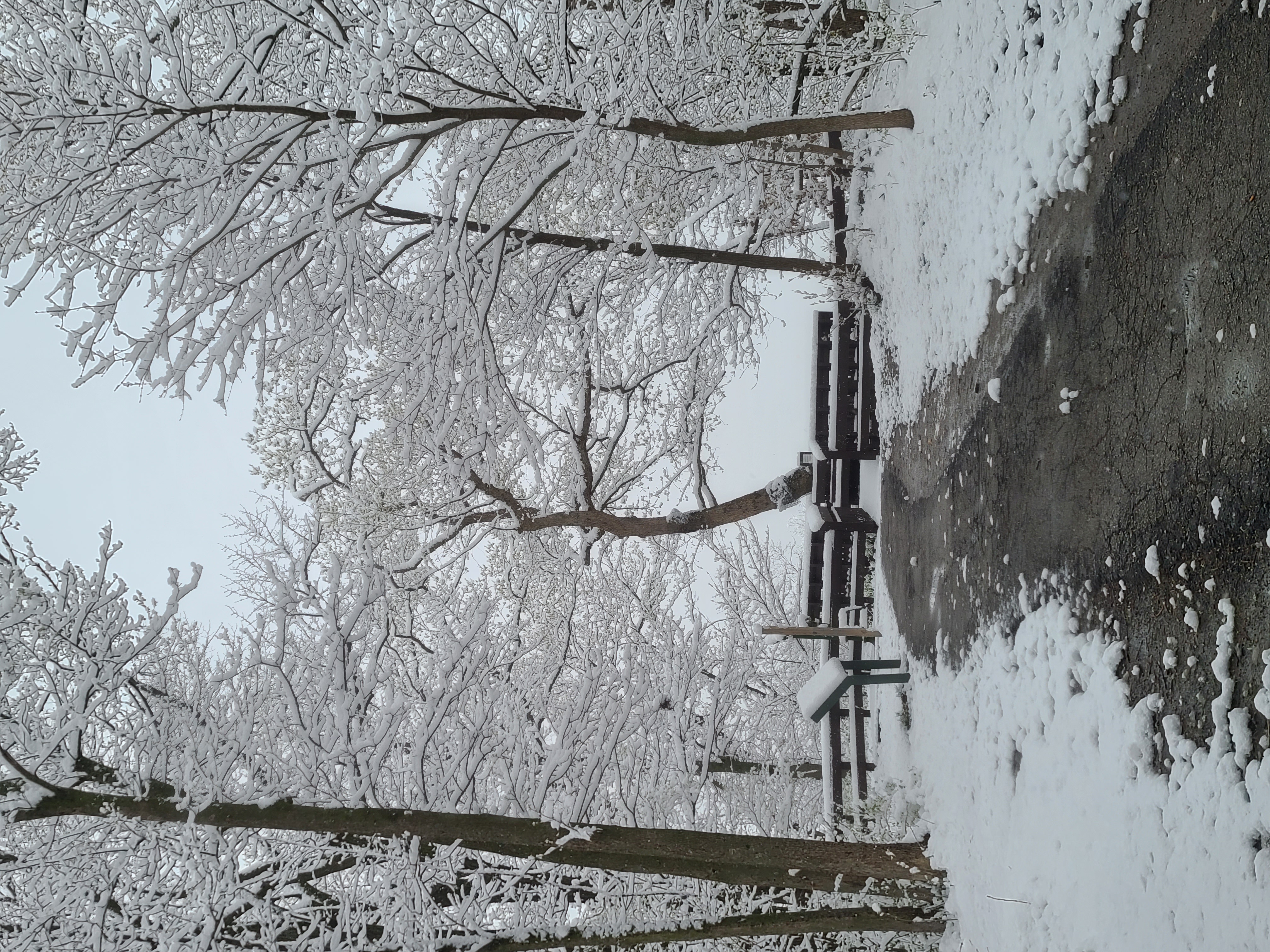 A snow covered wooded path to an overlook