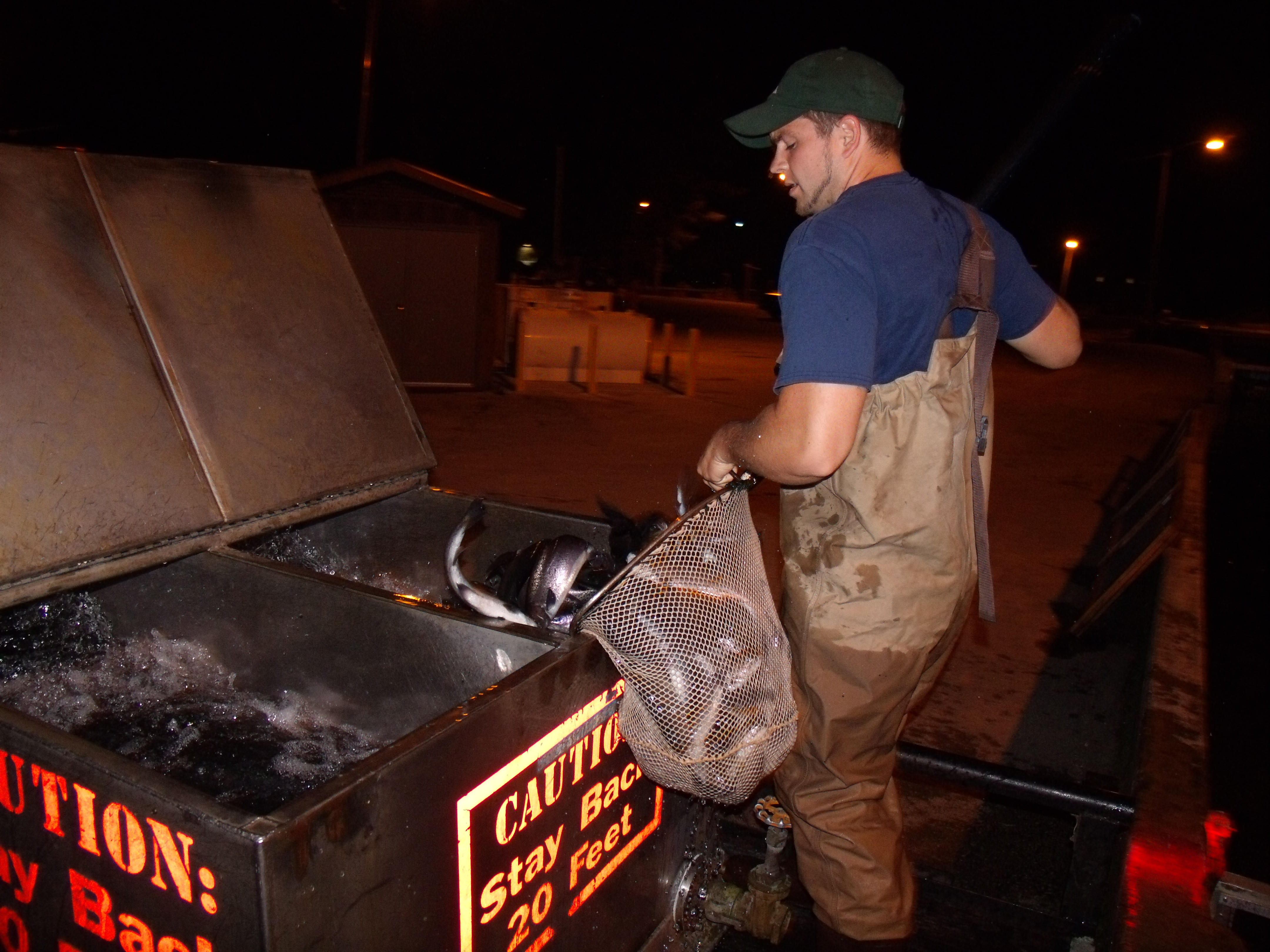 a person dumping a bag of fish into a container