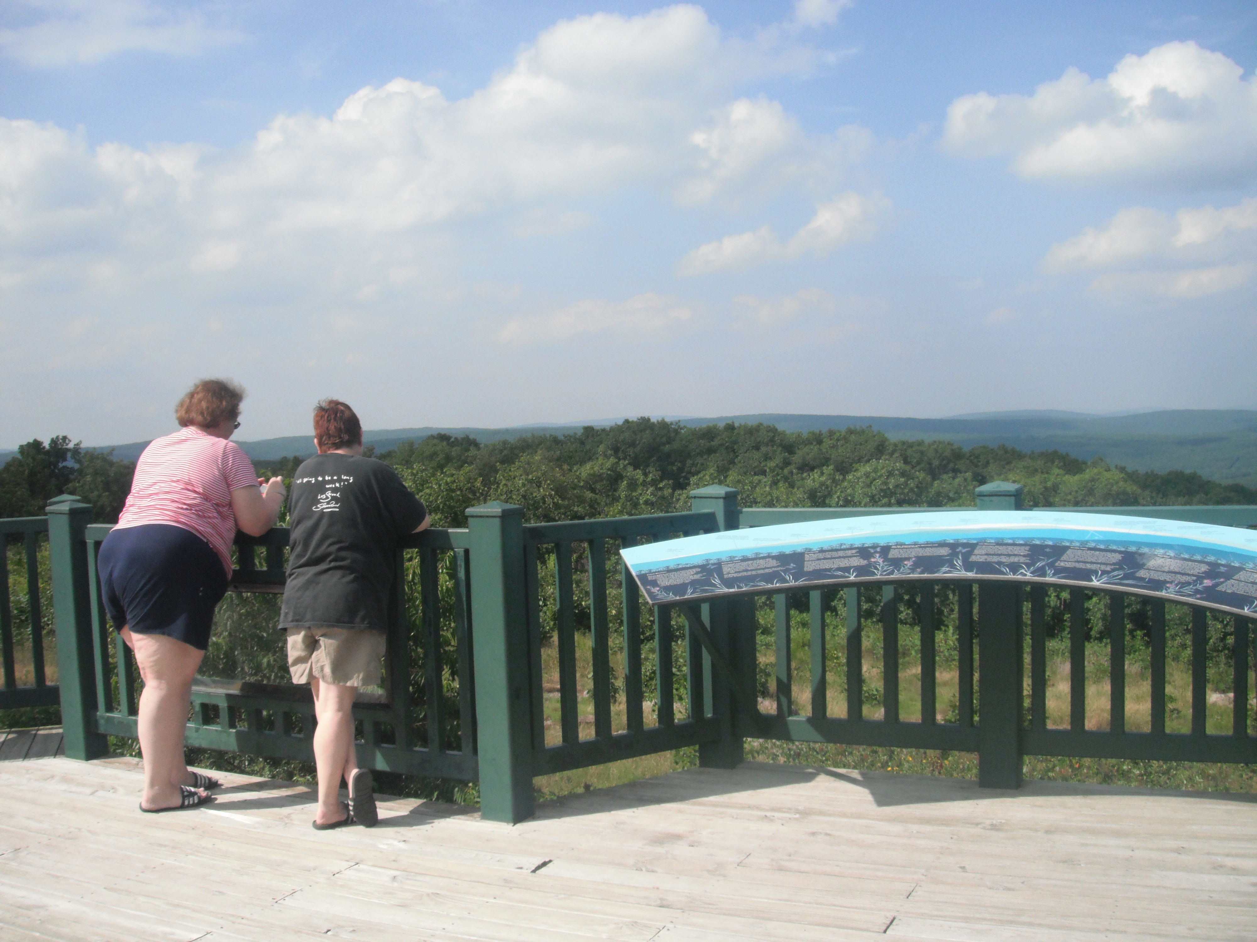 Two people on a balcony overlooking the woods
