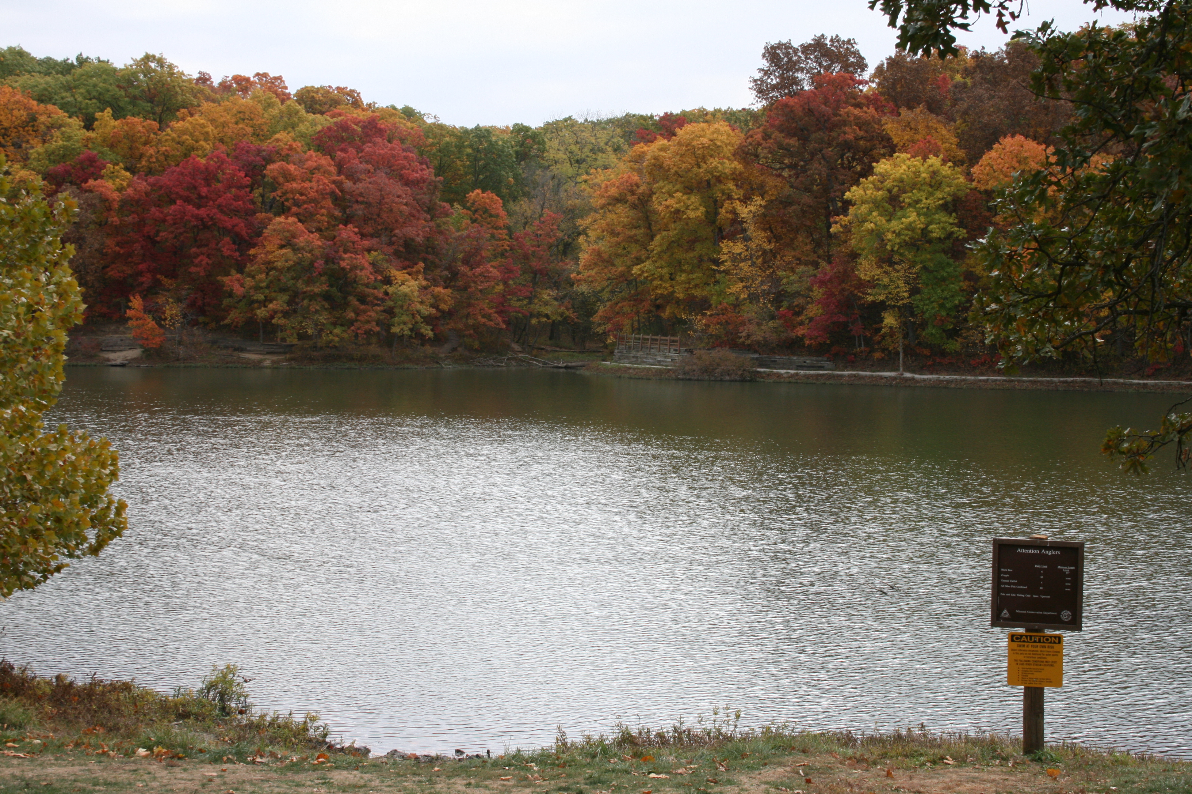 The shore of the lake
