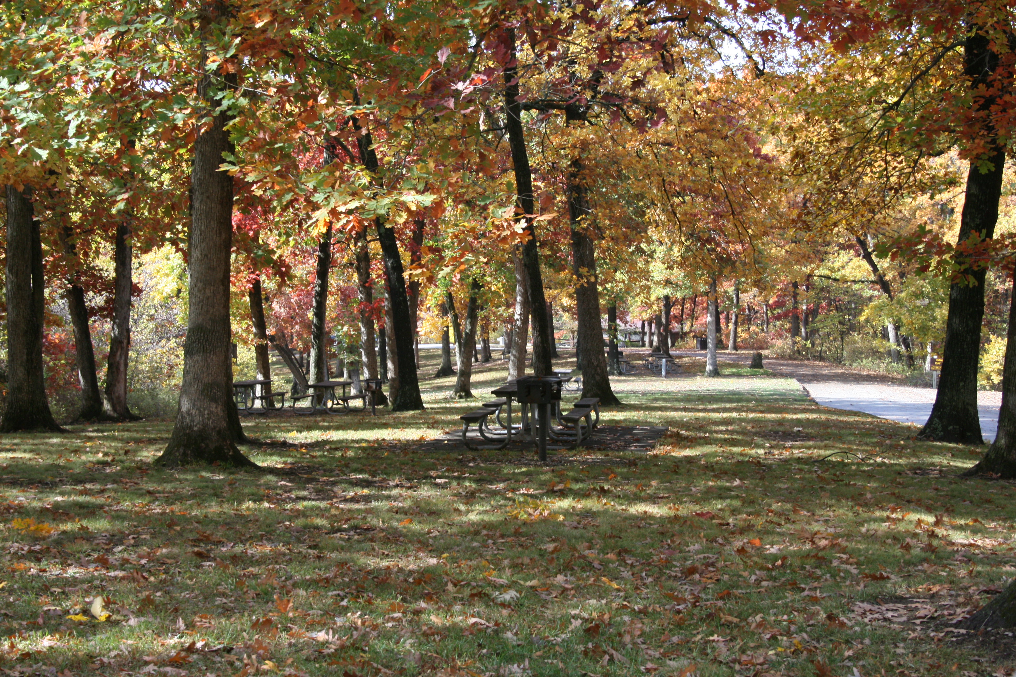 Picnic table under the trees