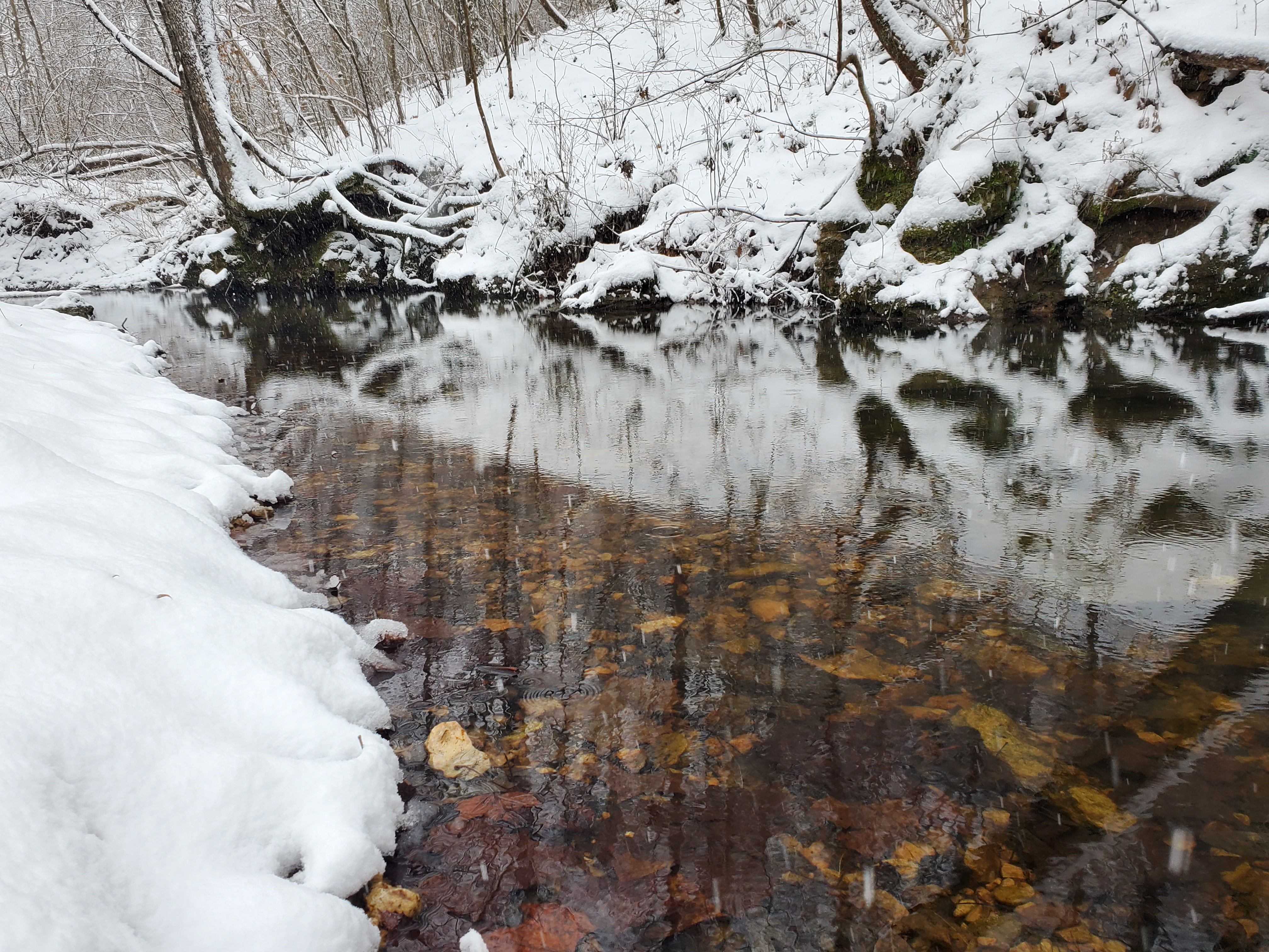A shallow river with a rocky bottom surrounded by snow
