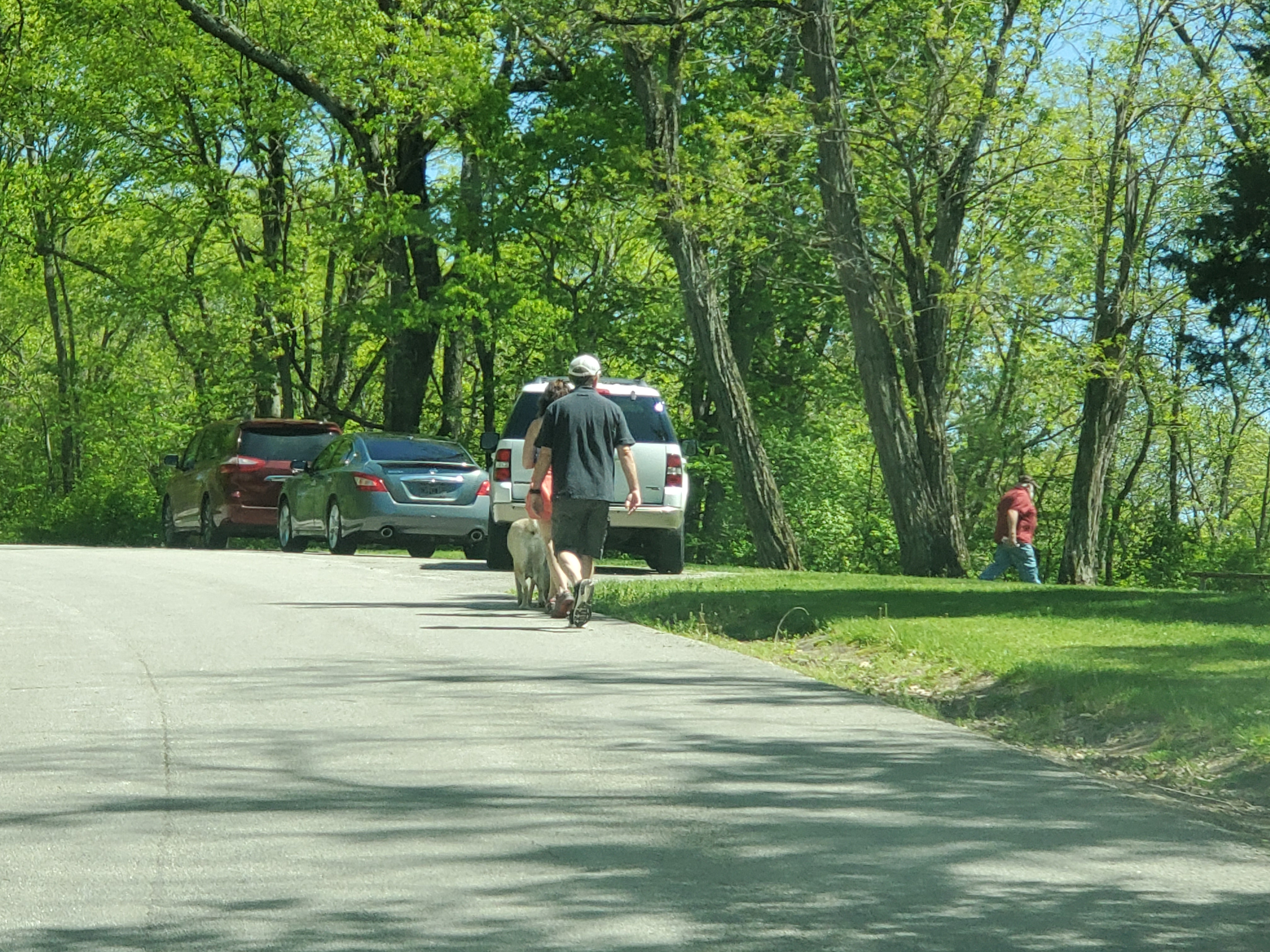 Two people walking a dog on a road