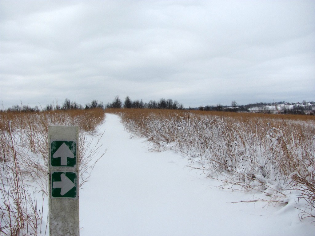 A snow covered trail