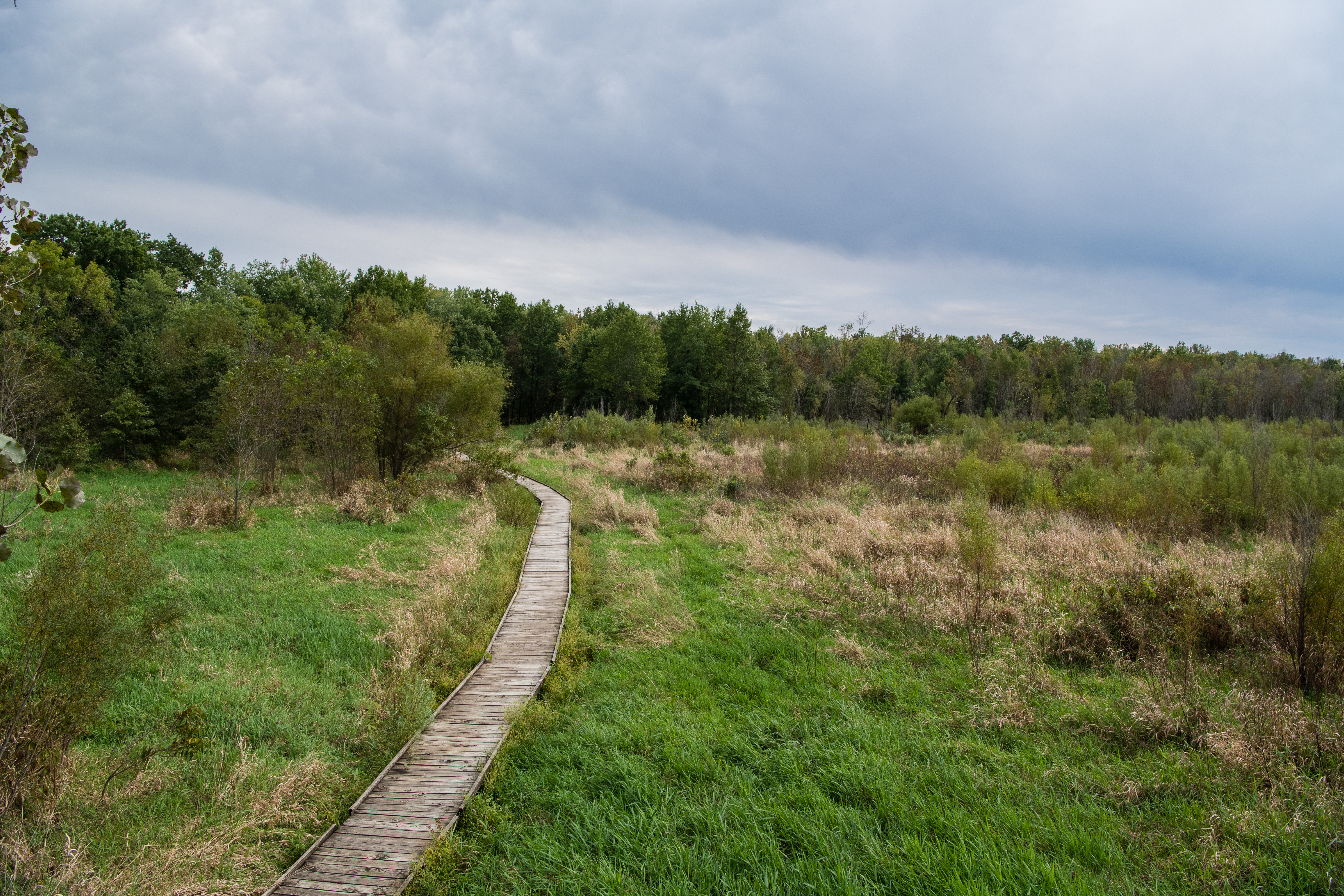 Boardwalk over a wet prairie