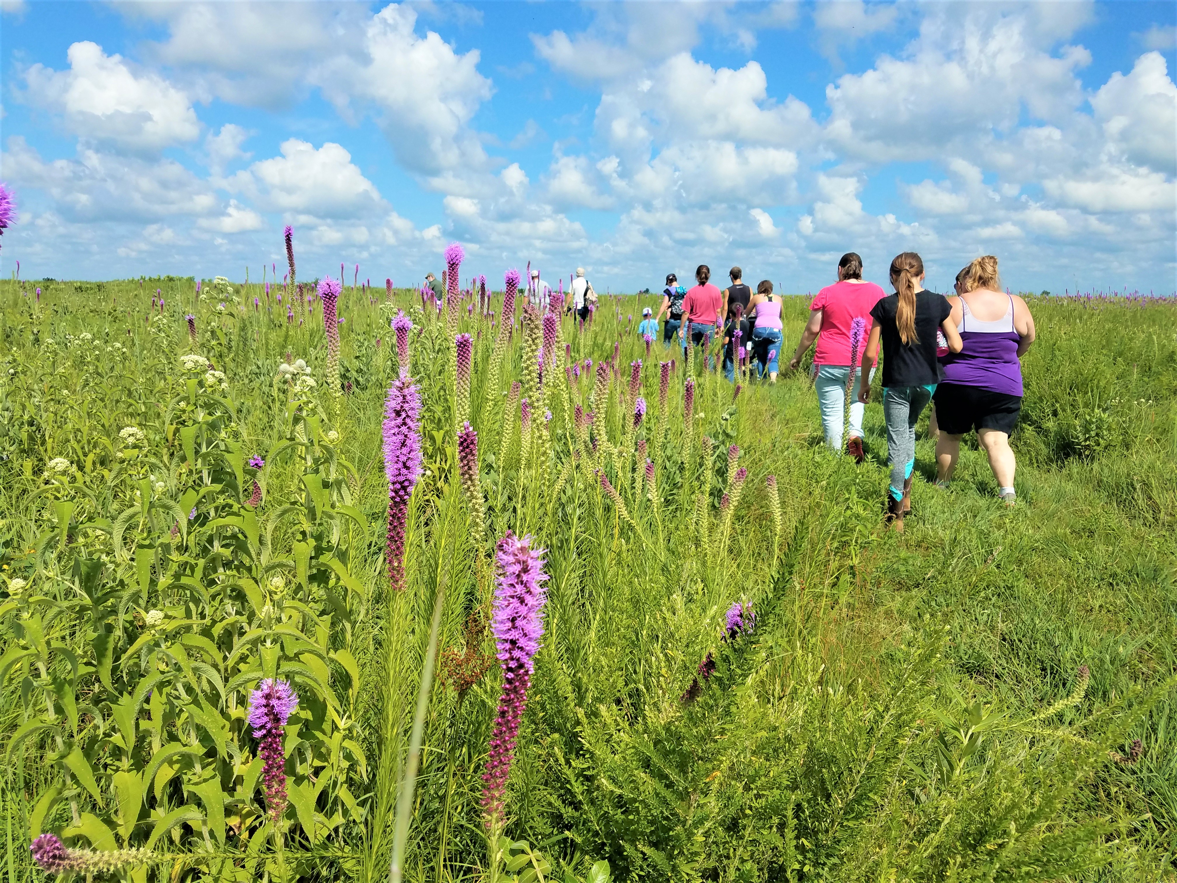 People hiking through a prairie