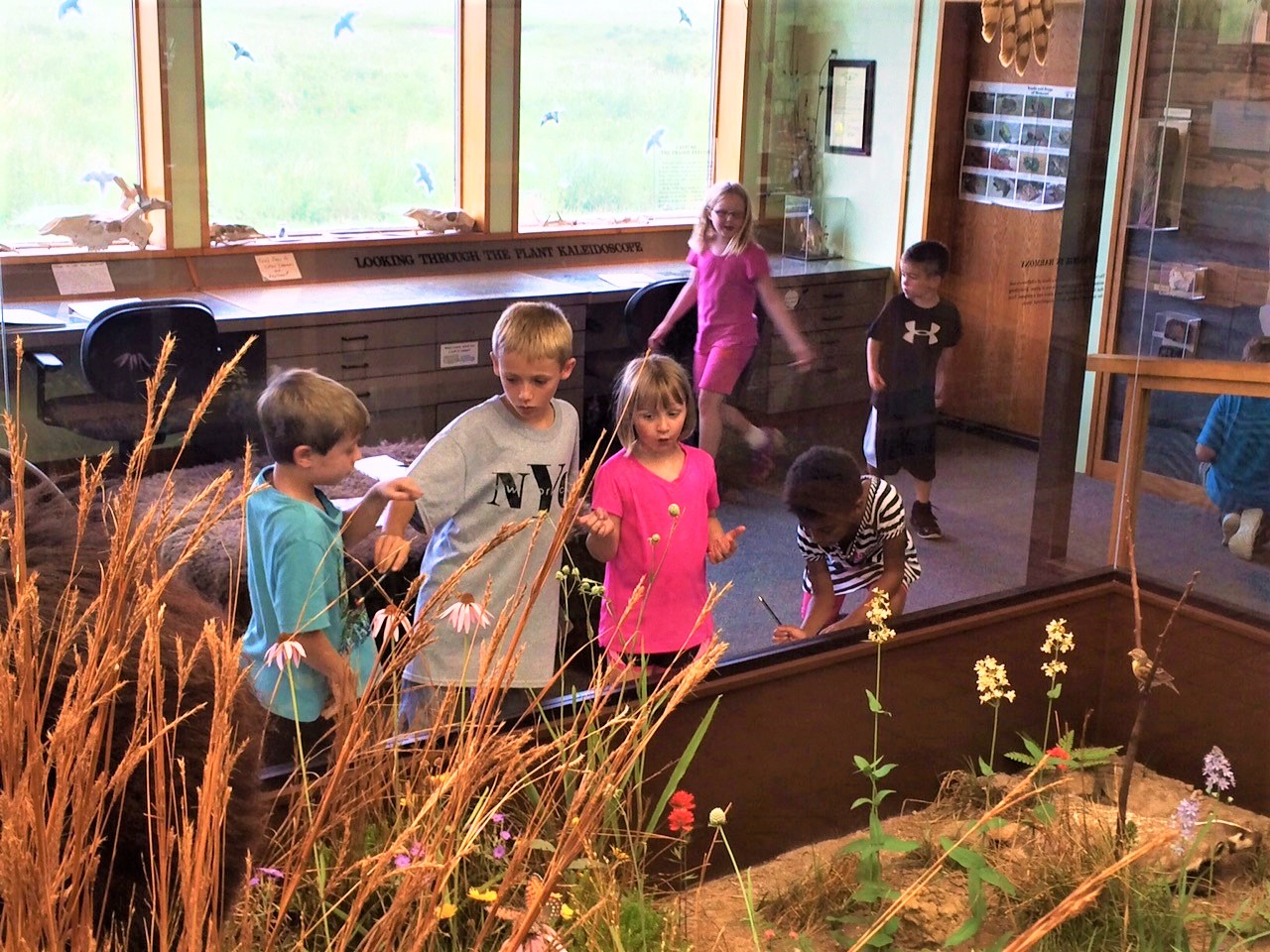 Kids gathered around a flower pot