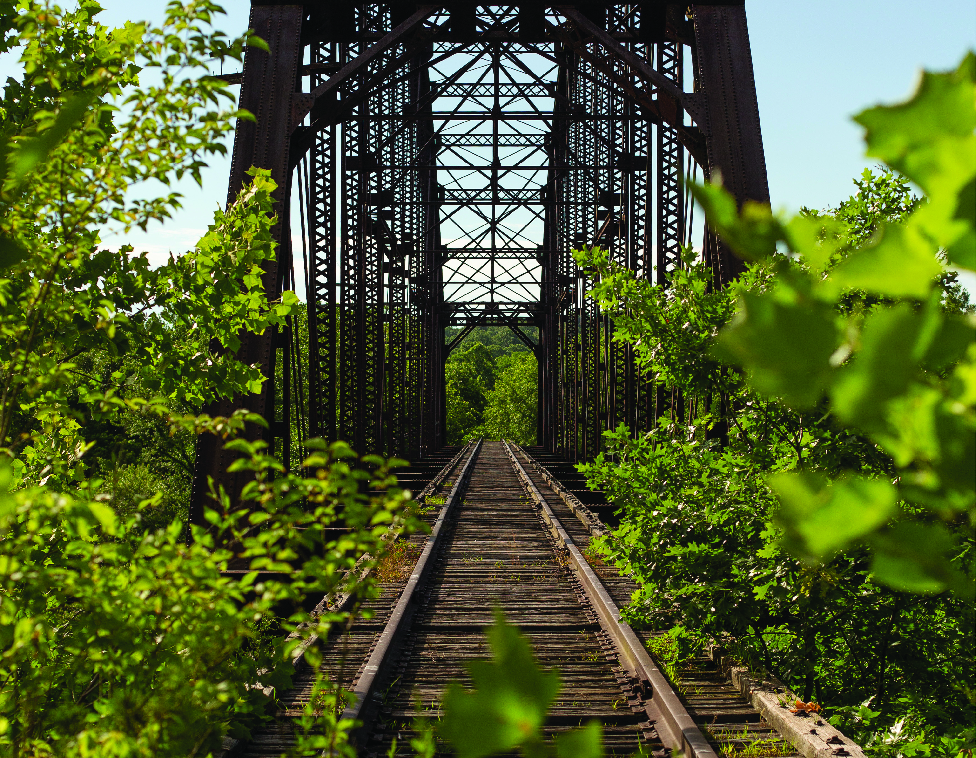 Old railroad tracks with plants growing on the sides