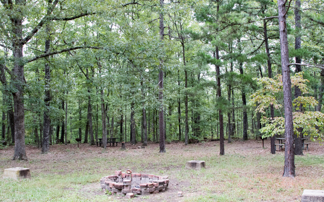 A fire pit in a clearing in the woods