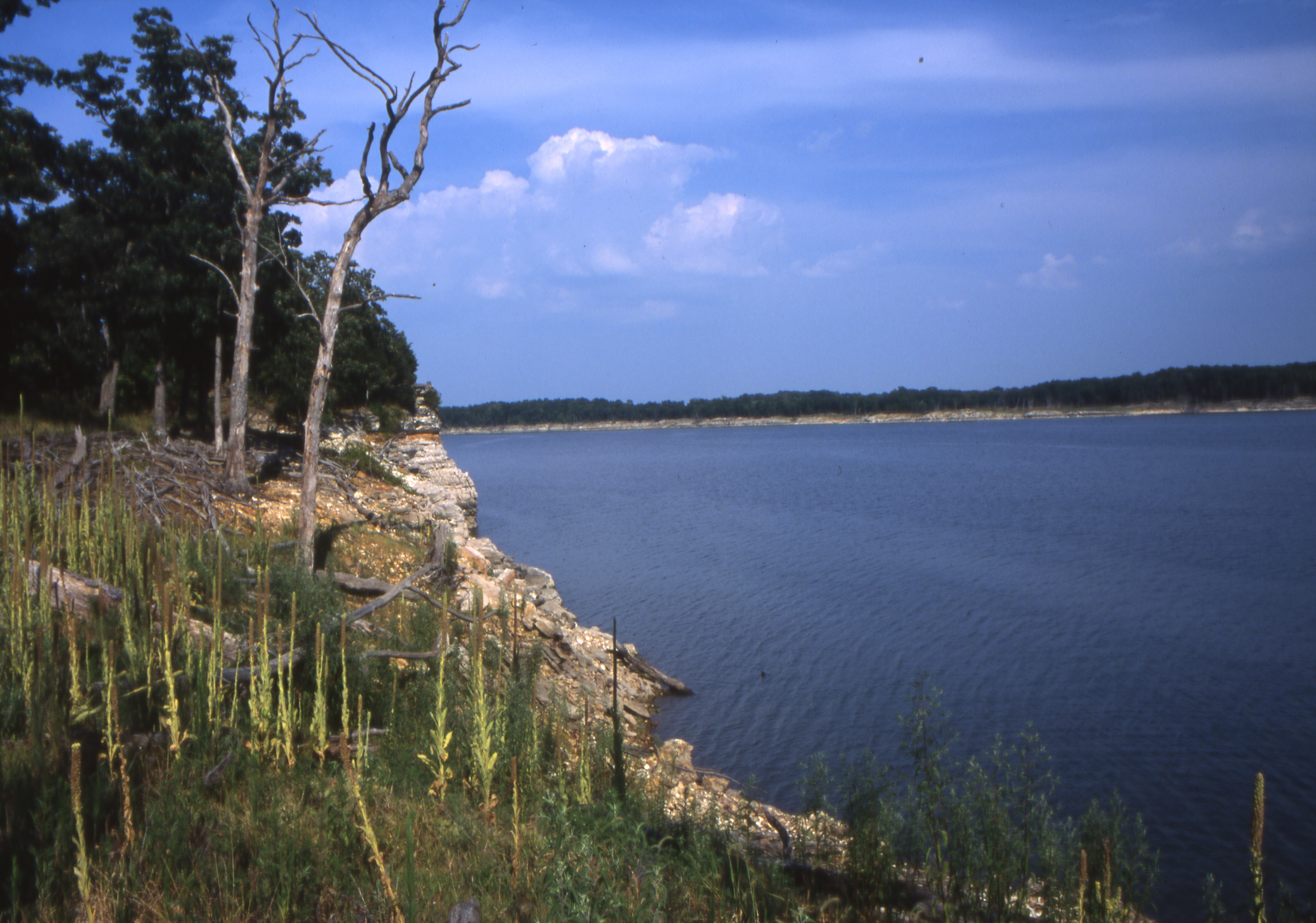 A cliff on the water's edge