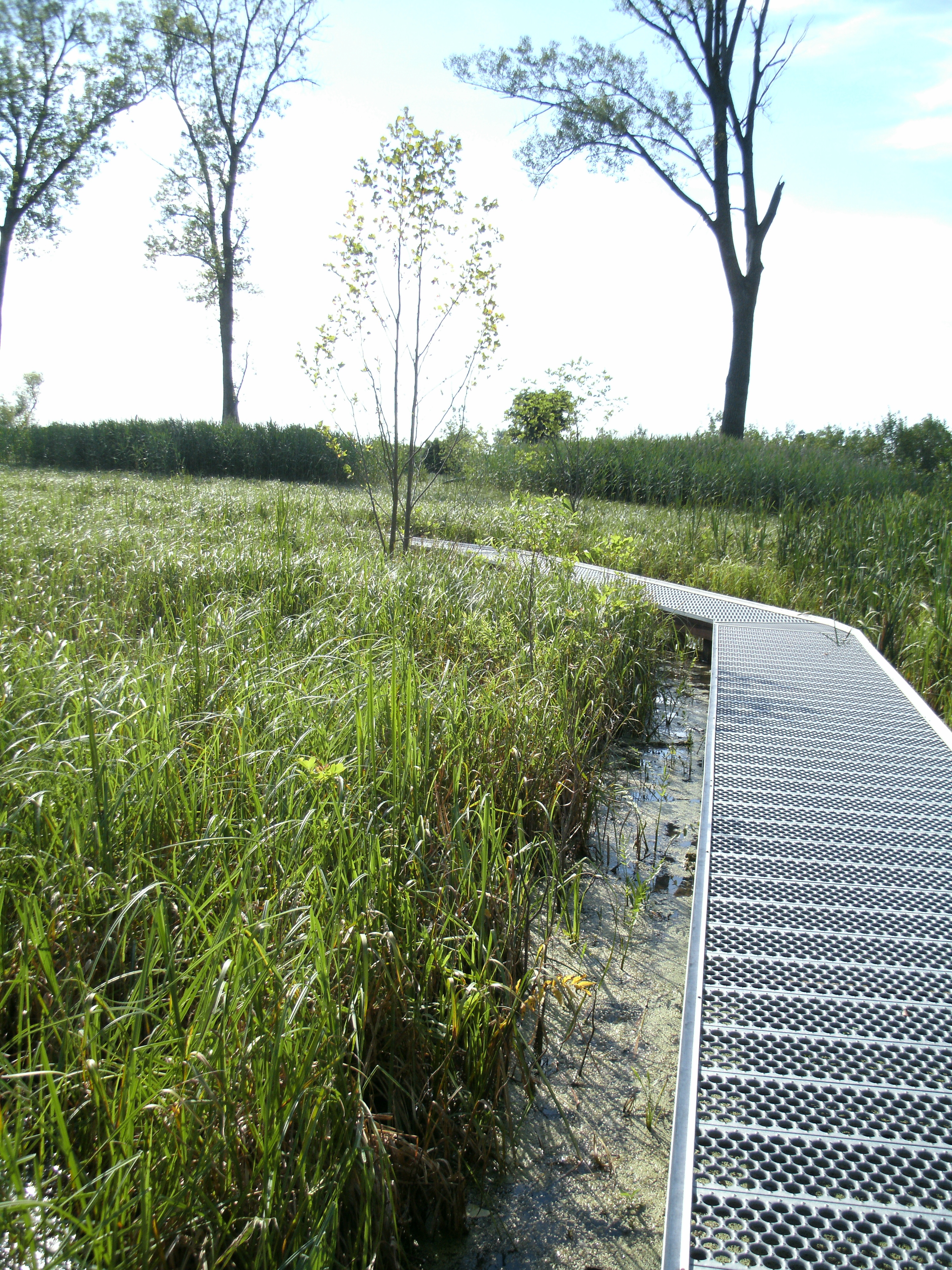 A metal walking path