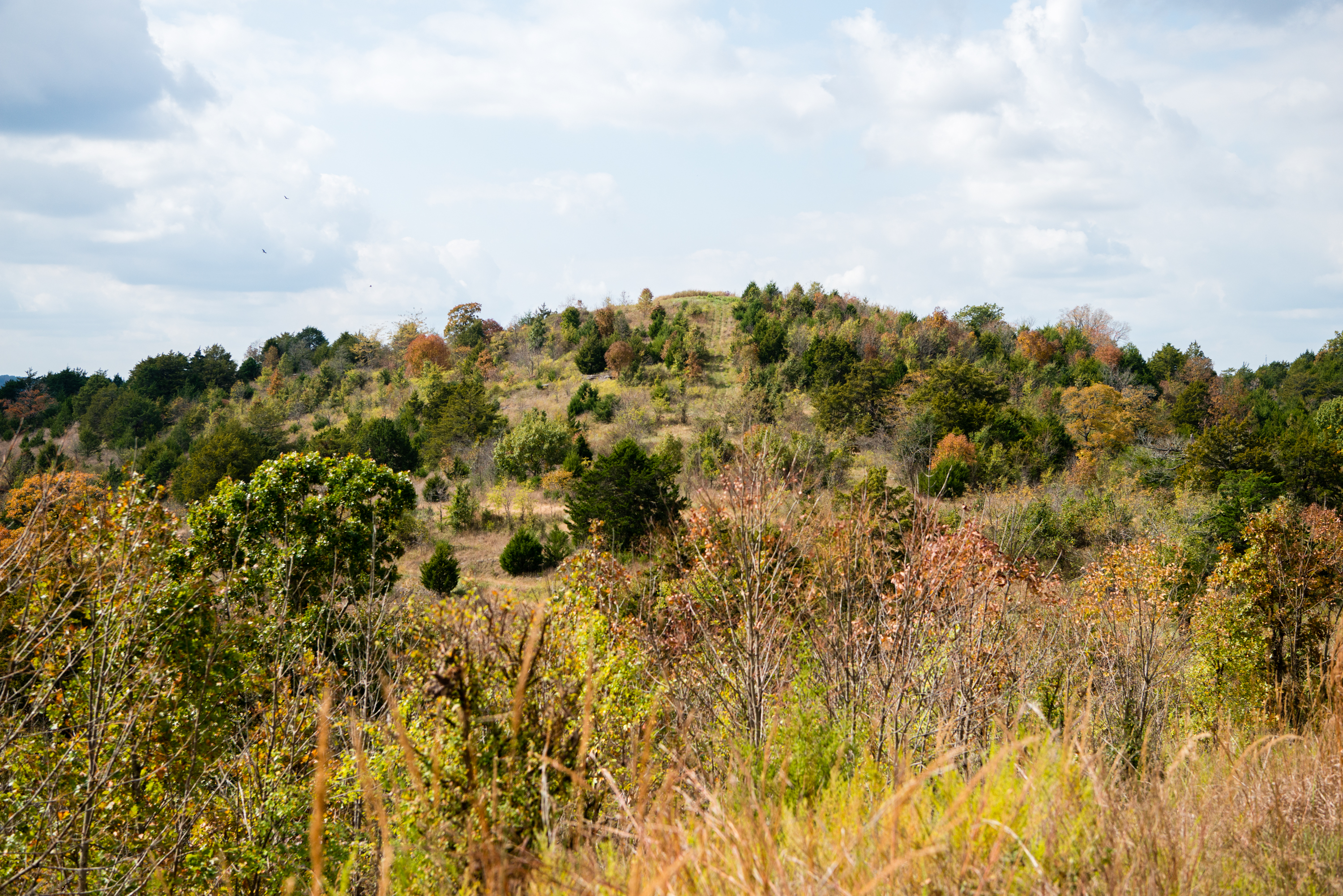 Ozark Mountain at Shepherd of the Hills State Park.