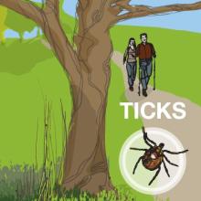 Illustration of two people walking down a path with inset image of a tick.
