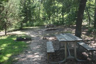 picnic tables in the special-use area