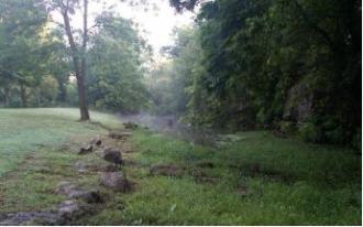 hiking trail in the woods