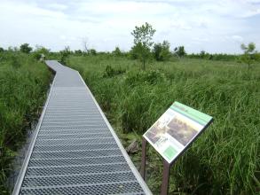 A metal walking trail