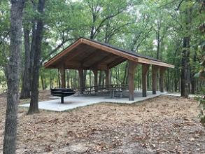 picnic shelter under tall trees with a large grill