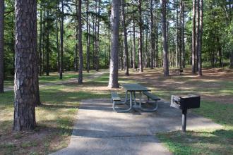 picnic table and grill on a concrete slab under the shade of lots of trees