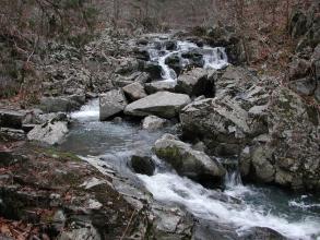 Rocky stream