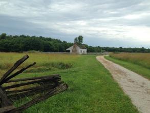 Trail in a meadow