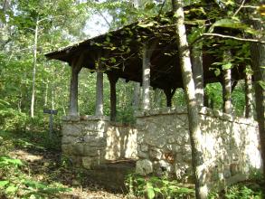 A building in the woods